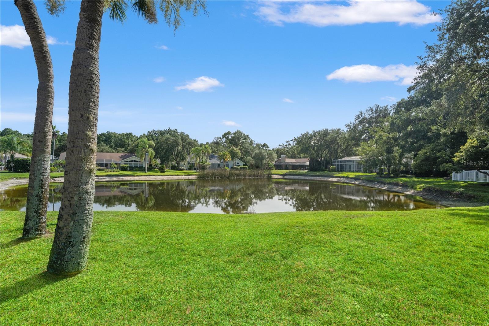 TAMPA PALMS AREA 2 UNIT 7C - Residential