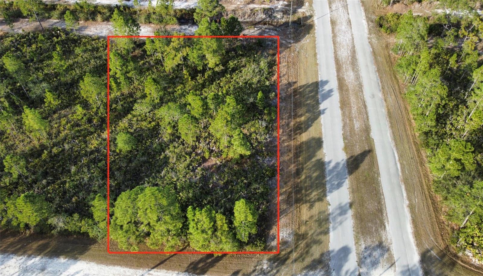 Build your dream home in the sought-after gated community of Indian Lake Estates! This vacant lot on Portulaca Drive offers peaceful country living surrounded by nature and wildlife. Residents enjoy access to Lake Walk-In-Water, famous for trophy bass fishing, boating, and stunning sunsets. Community amenities include an 18-hole golf course, clubhouse, fitness center, tennis and pickleball courts, marina, pier, and café. Conveniently located between Orlando and Tampa, Indian Lake Estates offers the perfect blend of tranquility and convenience. Don’t miss this opportunity to create your Florida retreat in a growing community!