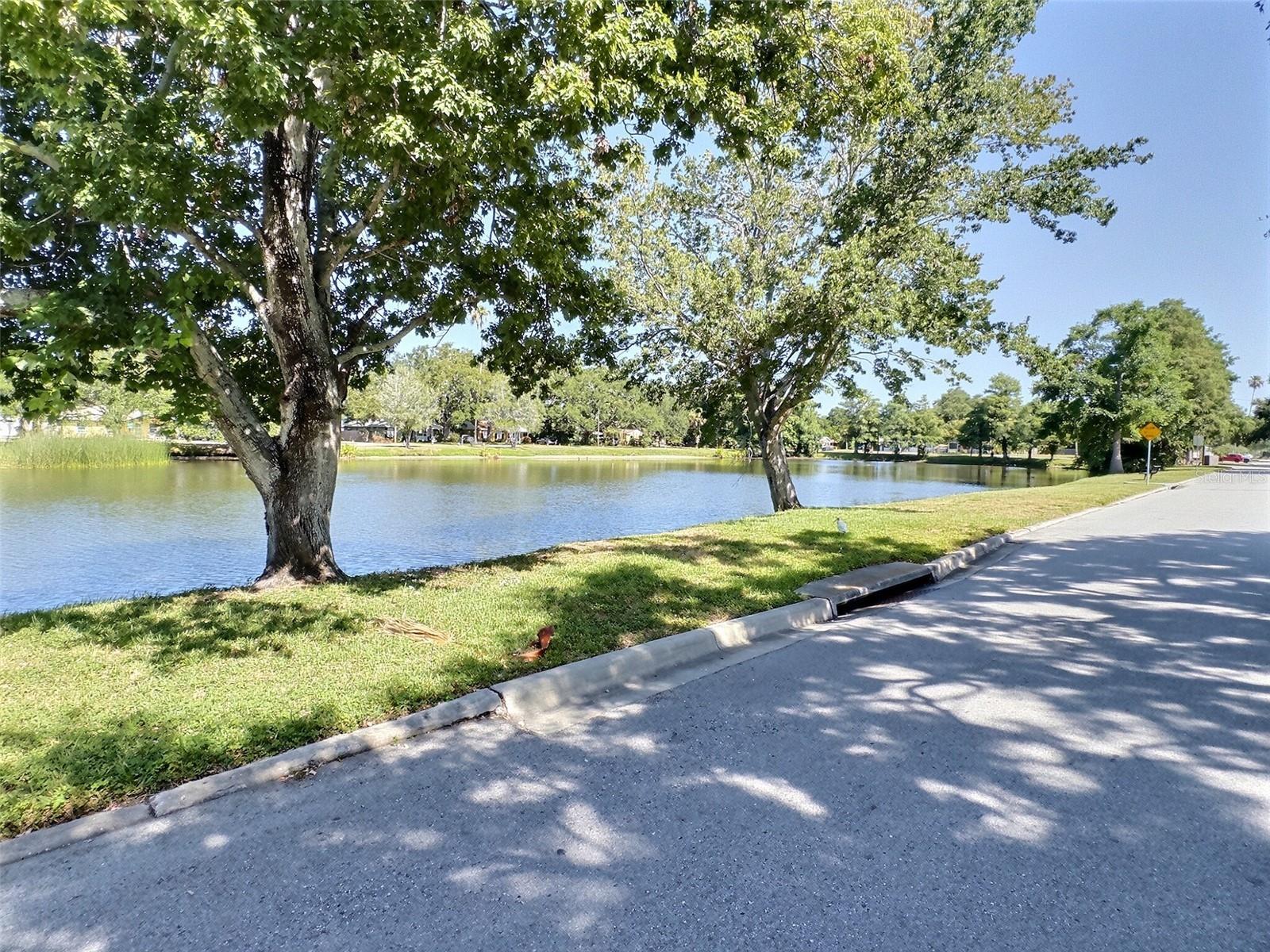DUNEDIN ISLES 1 - Residential Lease