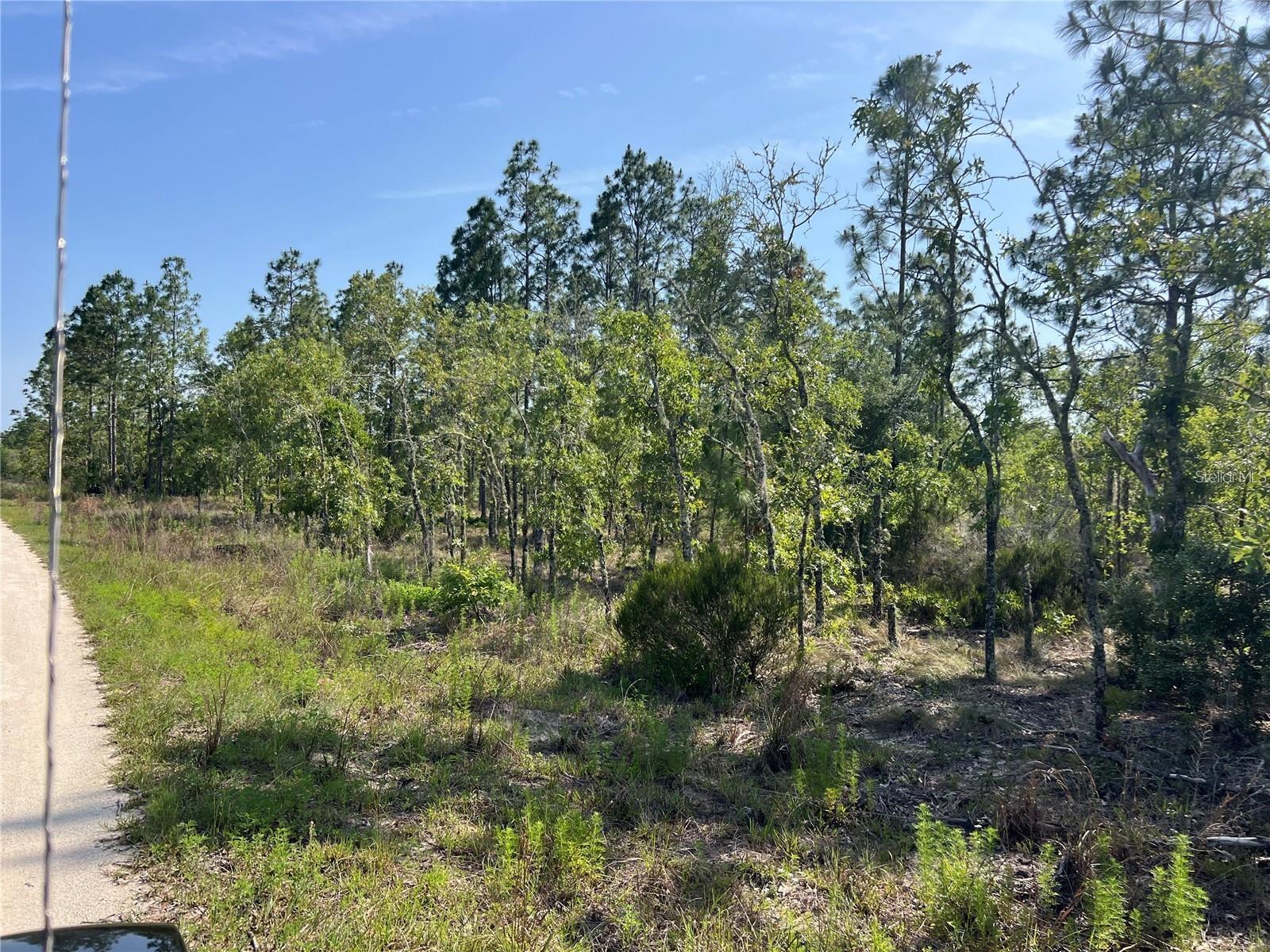 WILLISTON HYLNDS GOLF & C CLUB ESTATE - Land