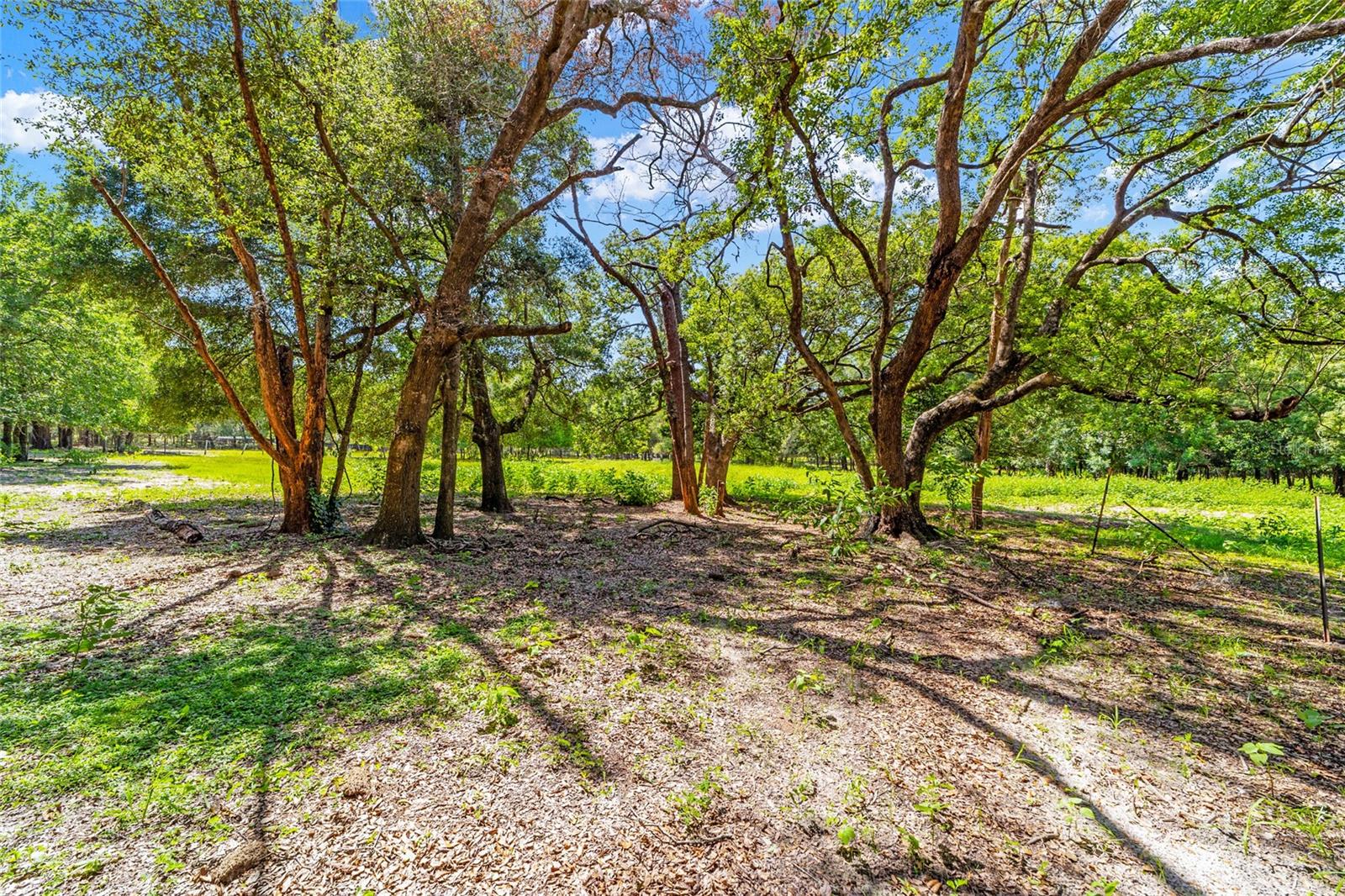 003359 - UNREC TRACTS IN 04-17S-18E - Residential