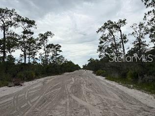 ORANGE BLOSSOM ESTATE - Land