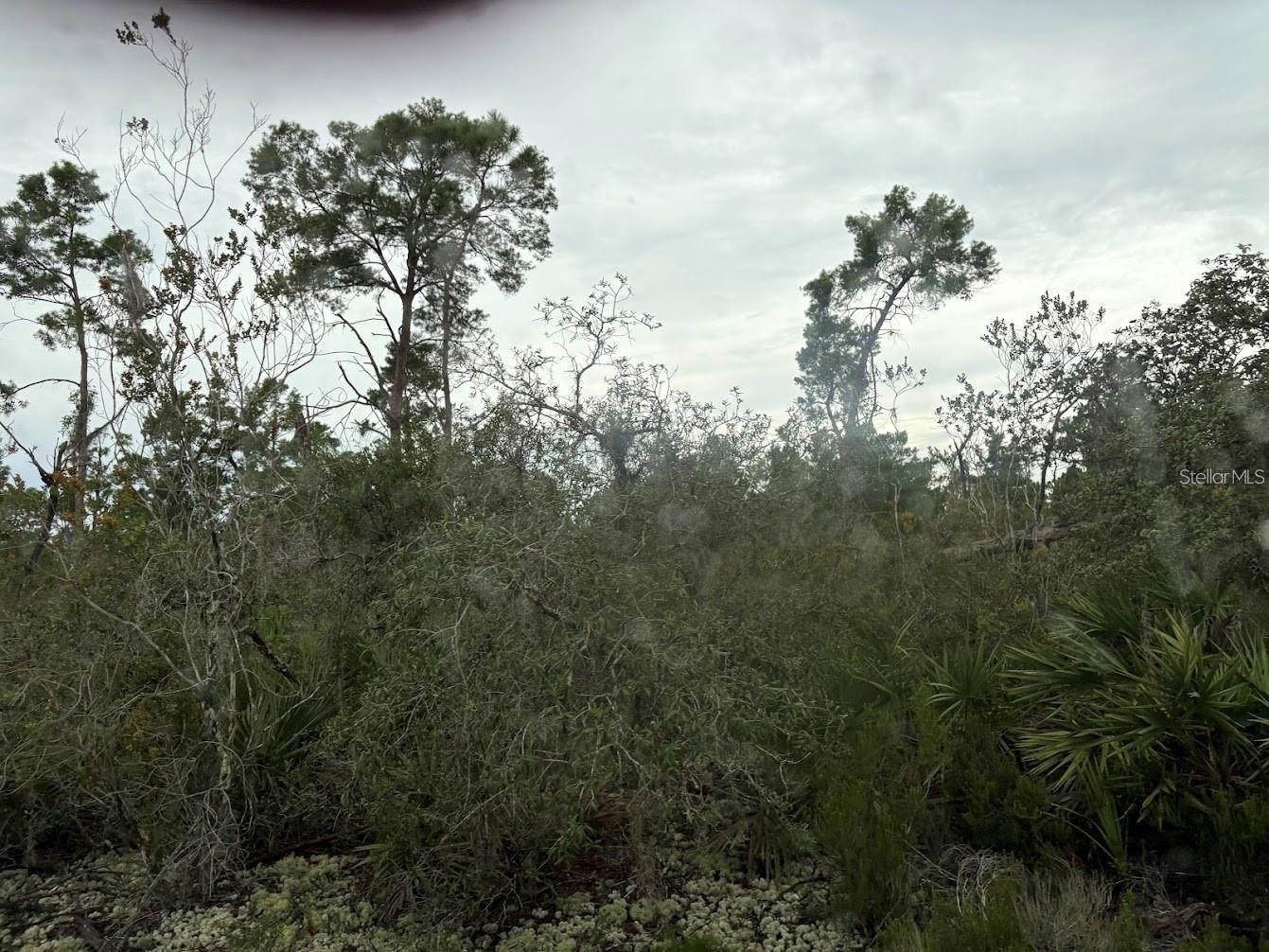 ORANGE BLOSSOM ESTATE - Land