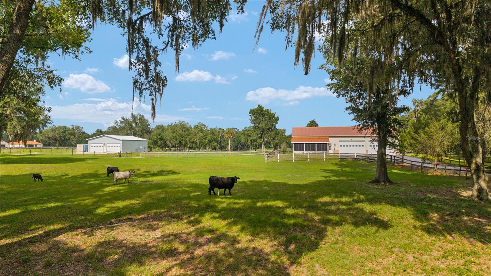 Welcome to a rare opportunity to own 26.37 acres of prime Marion County farmland in one of the most sought-after equestrian locations in Central Florida. Situated less than 10 miles from the World Equestrian Center and less than 8 miles from the HITS Ocala, this exceptional property offers endless possibilities for horse enthusiasts, cattle operations, investment opportunities, or those looking to create their dream farm.
The centerpiece of the property is a 72' x 42' metal building that incorporates a beautifully designed 1,344-square-foot residence. Inside, you'll find a spacious open-concept layout featuring a kitchen with granite countertops, SS appliances, bar seating, and a pantry. The living area is highlighted by a large picture window that showcases breathtaking views of the lush green pastures beyond. The primary bedroom features a walk-in closet and  full bathroom, while the second bedroom overlooks the rear pastures, providing peaceful country views. A second full bathroom, inside laundry area, and a brand-new air conditioner add comfort and convenience. The attached garage space features two oversized 14-foot garage doors with automatic openers, each large enough to accommodate vehicles, trailers, farm equipment, or recreational toys. Above the garage a loft area provides abundant storage space. Enjoy the Florida lifestyle from the screened front porch featuring four-season windows, or relax under the covered rear overhang that could easily serve as additional space for livestock, equipment storage, or an outdoor entertaining area overlooking the farm.
Just a short distance away sits the second 40' x 60' metal building. This structure includes a 1 bedroom, 1.5 bath apartment complete with a kitchen, concrete floors, and a screened patio with pasture views. Upstairs, you'll find a spacious bedroom, full bathroom, and additional storage space. Like the main building, this structure features two oversized garage doors with automatic openers, creating endless opportunities for equipment storage, workshops, guest accommodations, rental income, or farm operations.
Designed with livestock and equestrian use in mind, the property features 5 large pastures and 4 paddocks, all laid out to maximize functionality and flexibility. A charming two-stall wood barn provides direct turnout access to the pasture. There is also a Conex storage container with electricity already in place, offering the perfect opportunity for hay storage, a tack room, feed room, or workshop space. A small pond located in one of the rear pastures adds both beauty and functionality to the land.
One of the most exciting aspects of this property is the flexibility it offers. The existing improvements provide a unique opportunity to live comfortably on-site while building your dream barn or construct a custom estate home while utilizing the current residences for guests, caretakers, or rental income. With over 26 acres of usable land, there is plenty of room to bring your vision to life.
Adding even more value, the property is priced below its recent May 2026 appraisal of $1,730,000 and is being offered at just $1,650,000. Opportunities to purchase a farm in this location, with this much versatility and potential, are increasingly difficult to find.