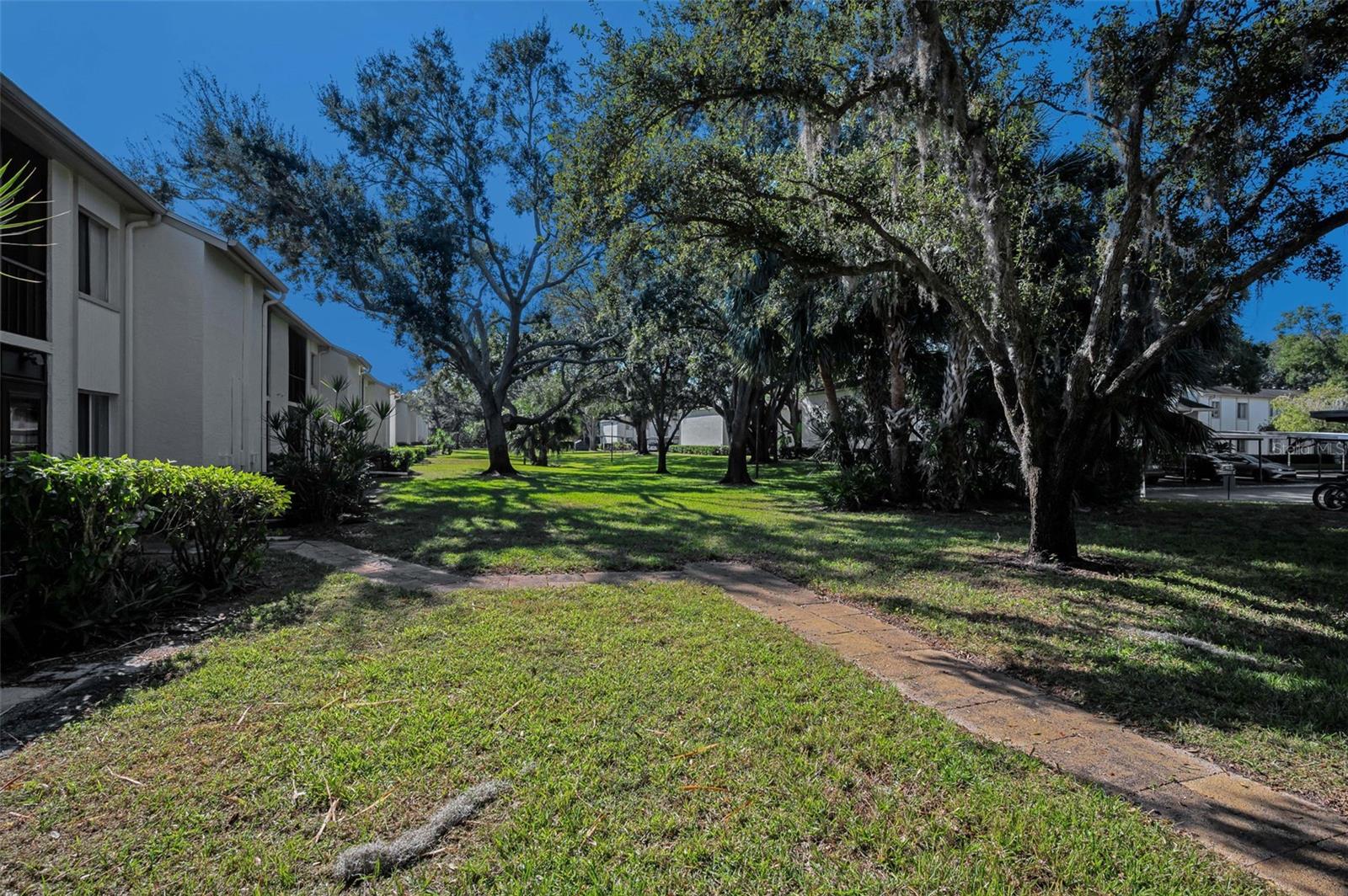 EAST LAKE WOODLANDS CYPRESS ESTATES - Residential