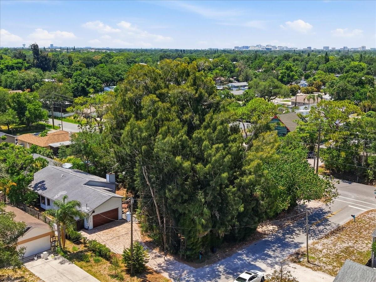 FLORA-VILLA - Residential