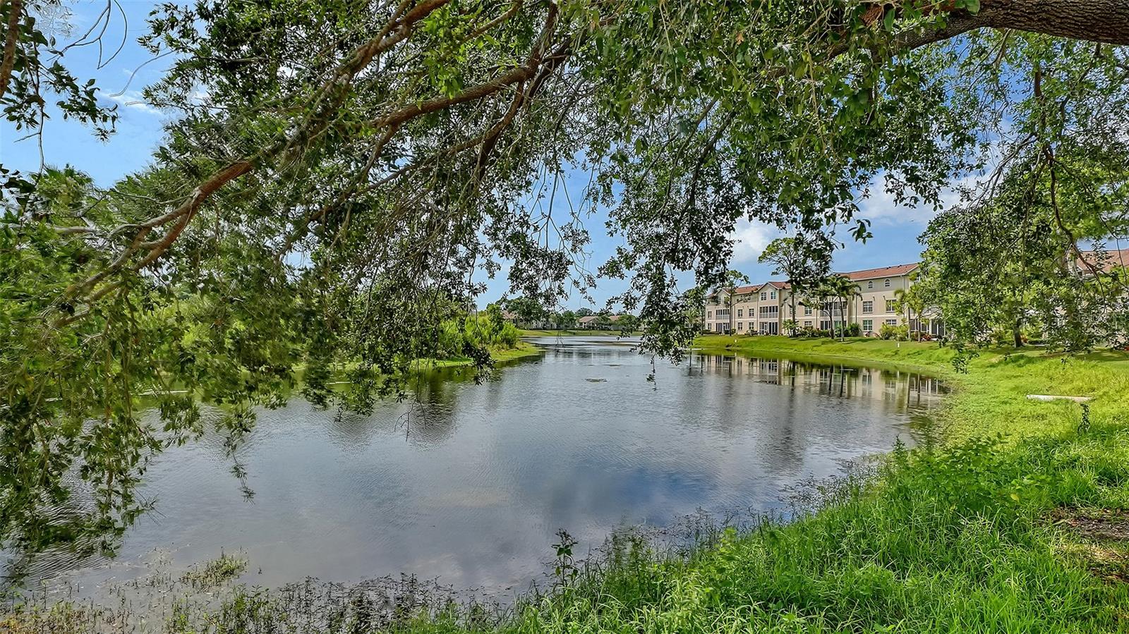 PINESTONE AT PALMER RANCH - Residential