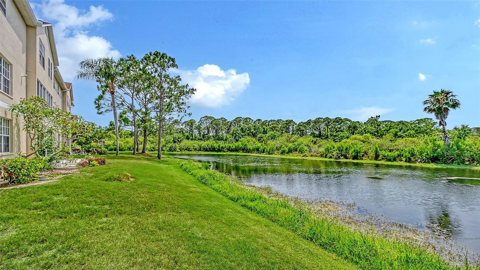 PINESTONE AT PALMER RANCH - Residential