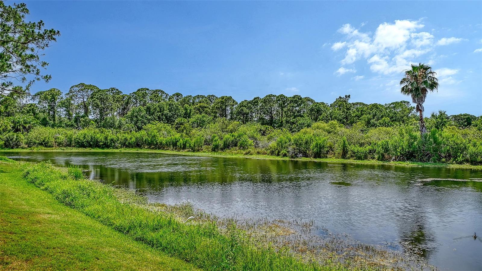 PINESTONE AT PALMER RANCH - Residential