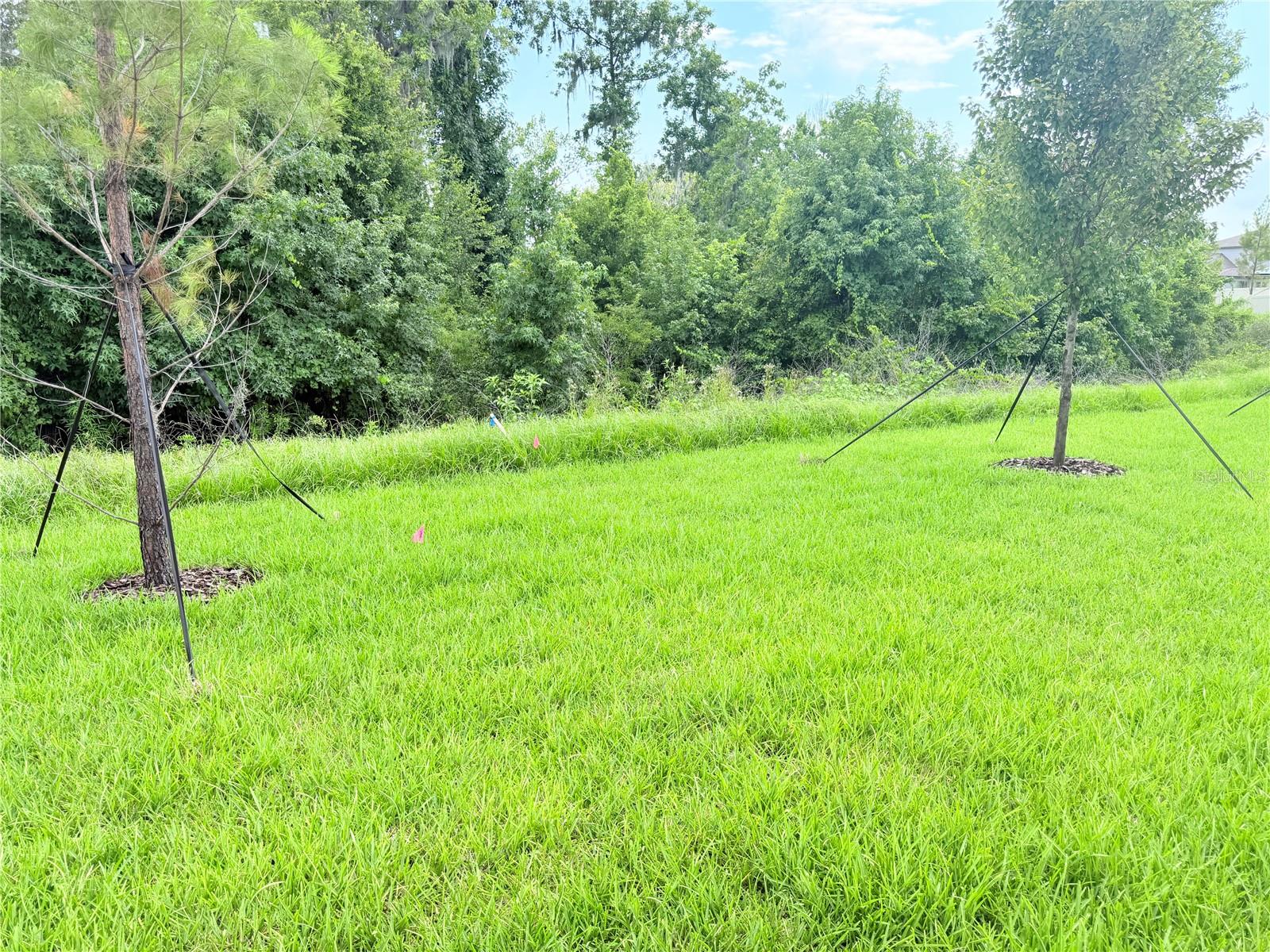 NORTH PK ISLE PH 2C 3B & 4 - Residential Lease