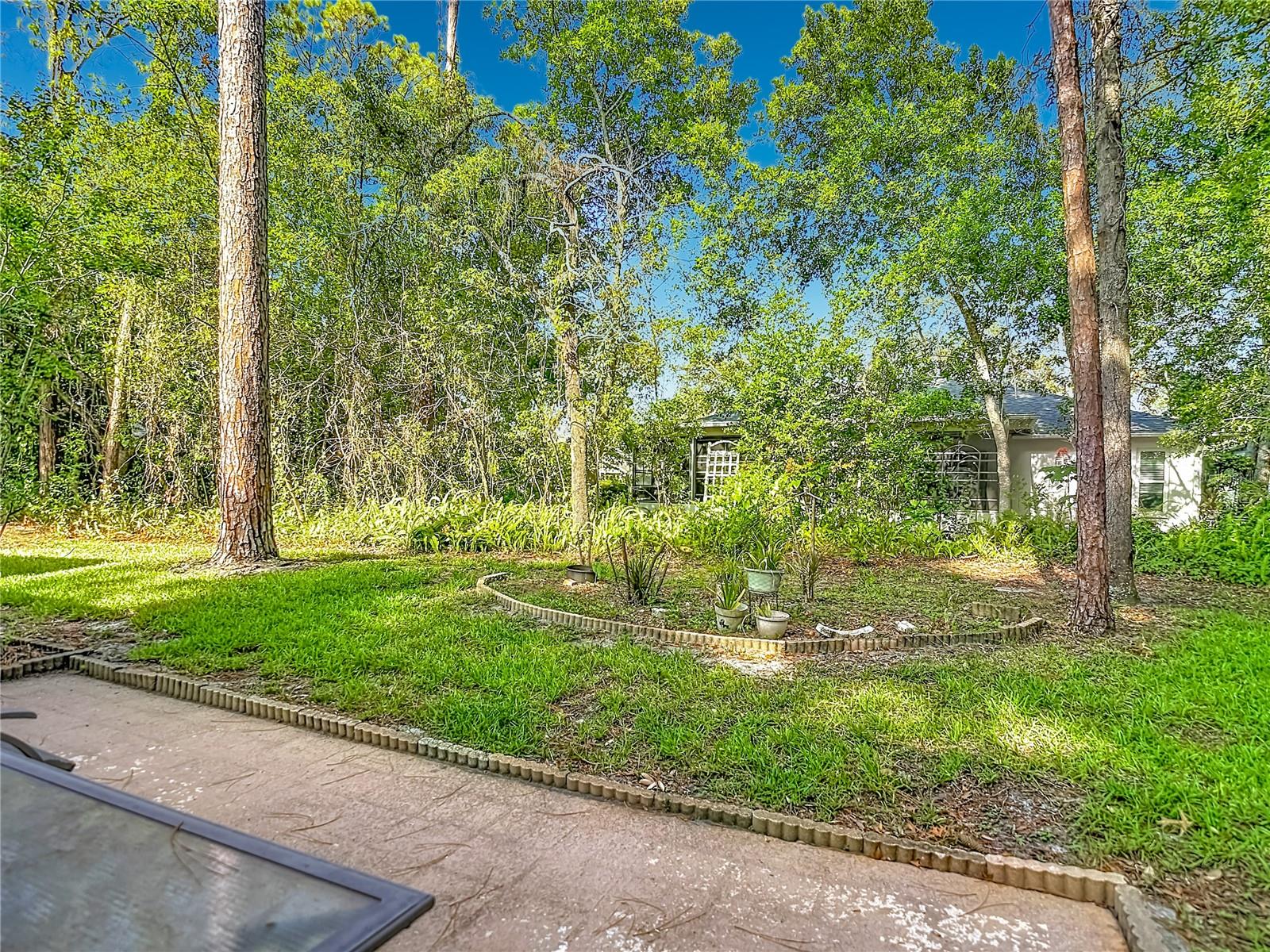 TMBR PINES PN GR VL - Residential