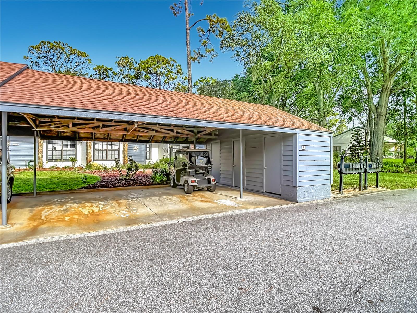 TMBR PINES PN GR VL - Residential