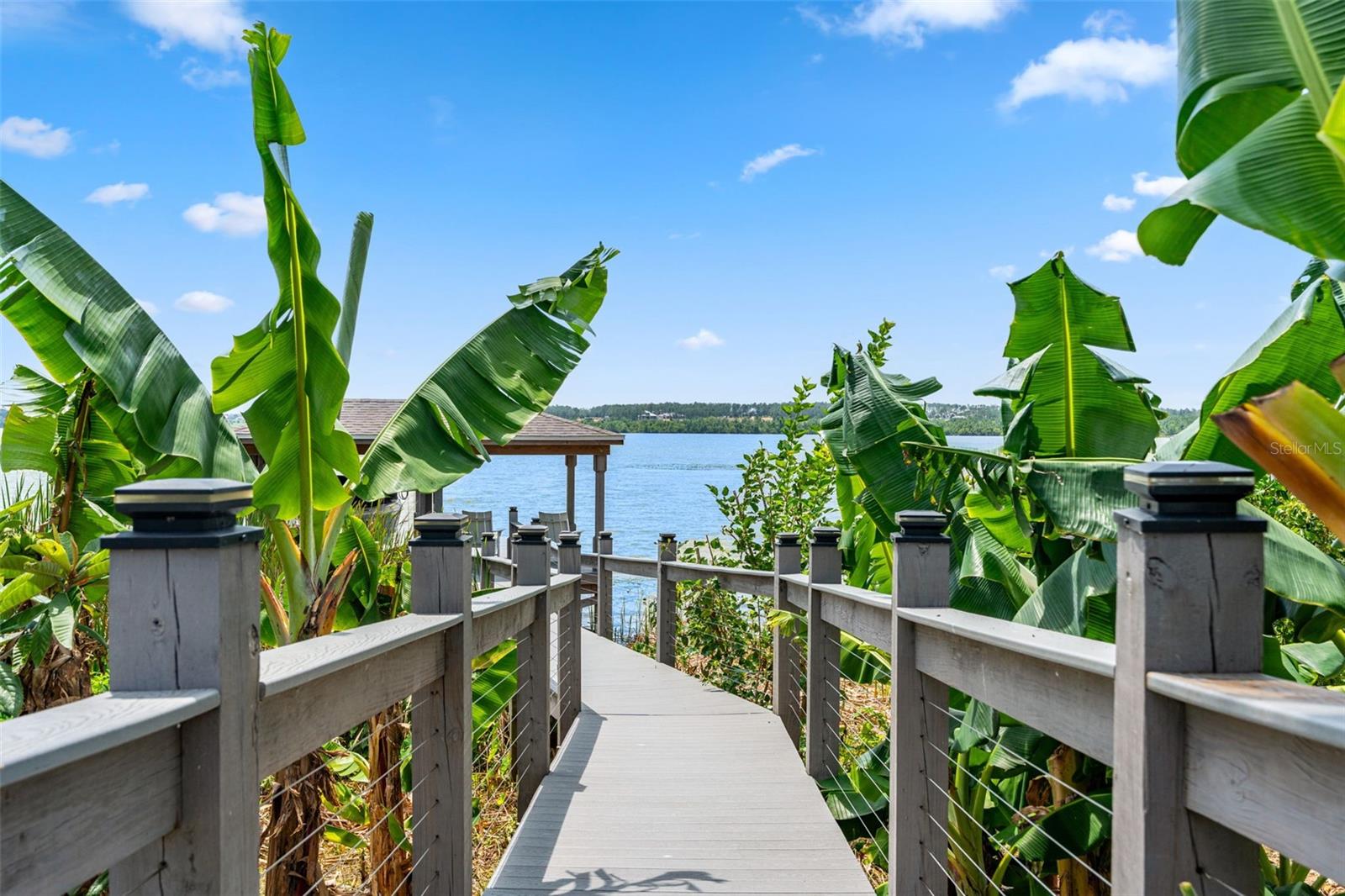 HULL ISLAND/OAKLAND - Residential