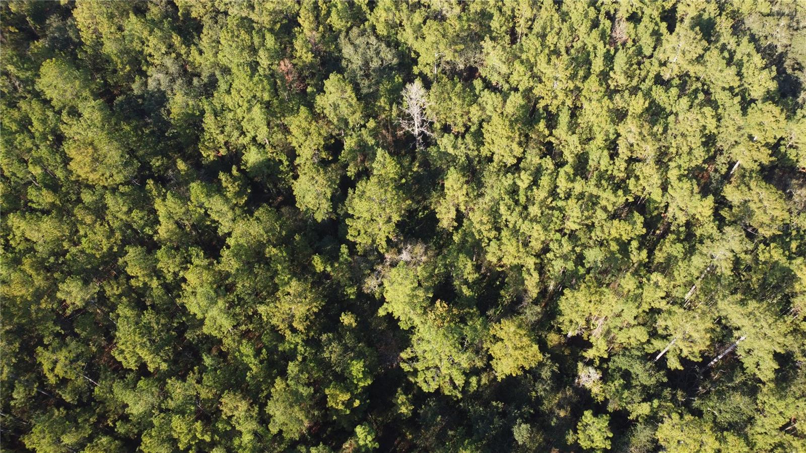 CAMPBELL RIDGE ESTATES SUB - Land