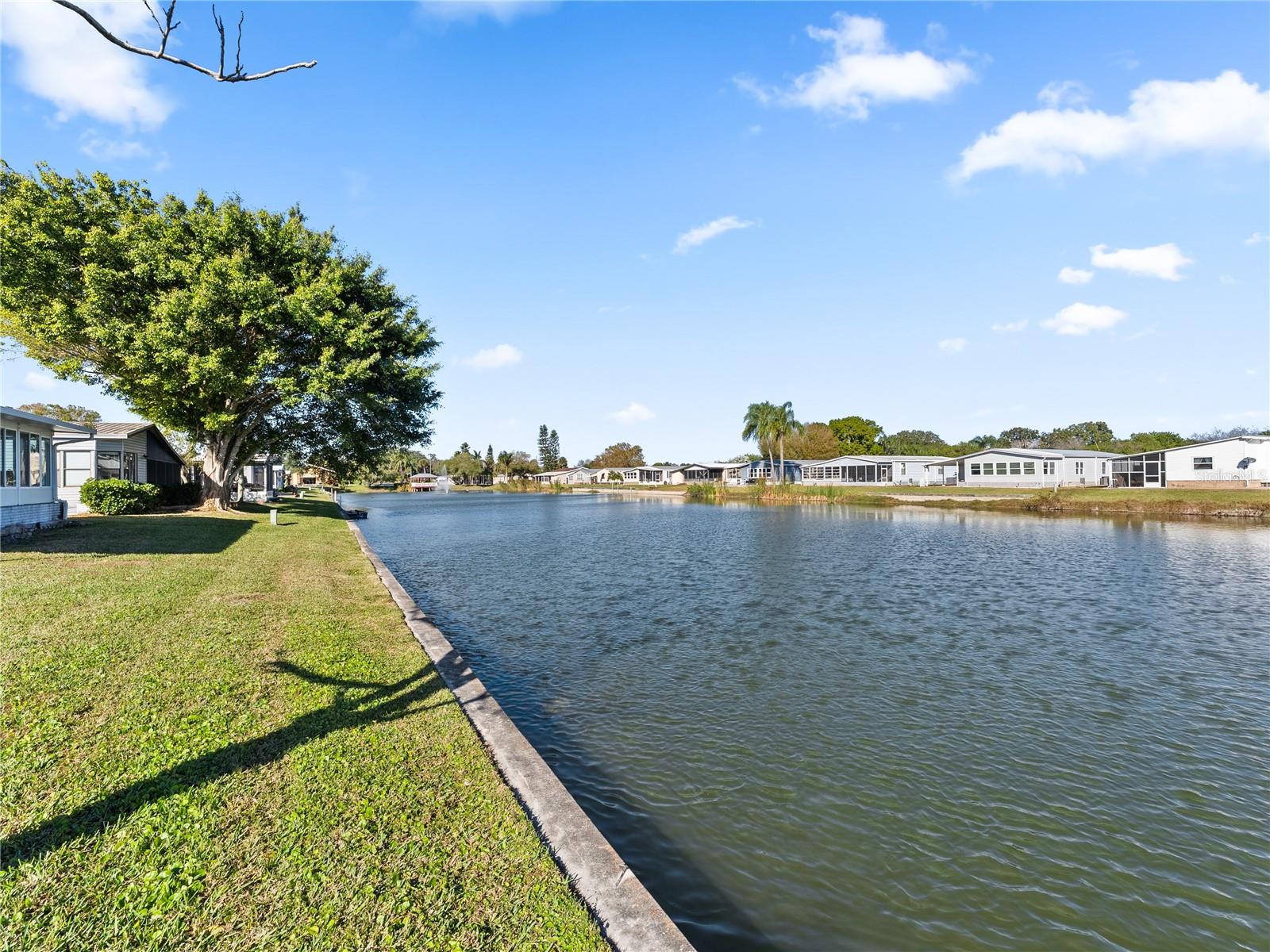 SEMINOLE COVE CONDOS - Residential