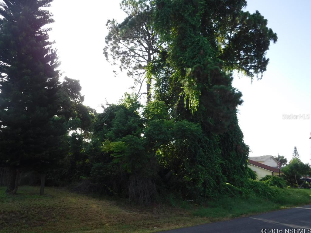 Are You Budget Wise? Easy Access to I-95, shops and restaurants. Zoned for a single family residence. No flood insurance required. Excellent Value for a 80x125 Lot!; Cleared: Partial ;Water: Available at Site