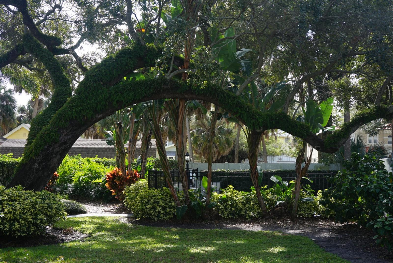 EDISON PLACE A CONDO - Residential Lease