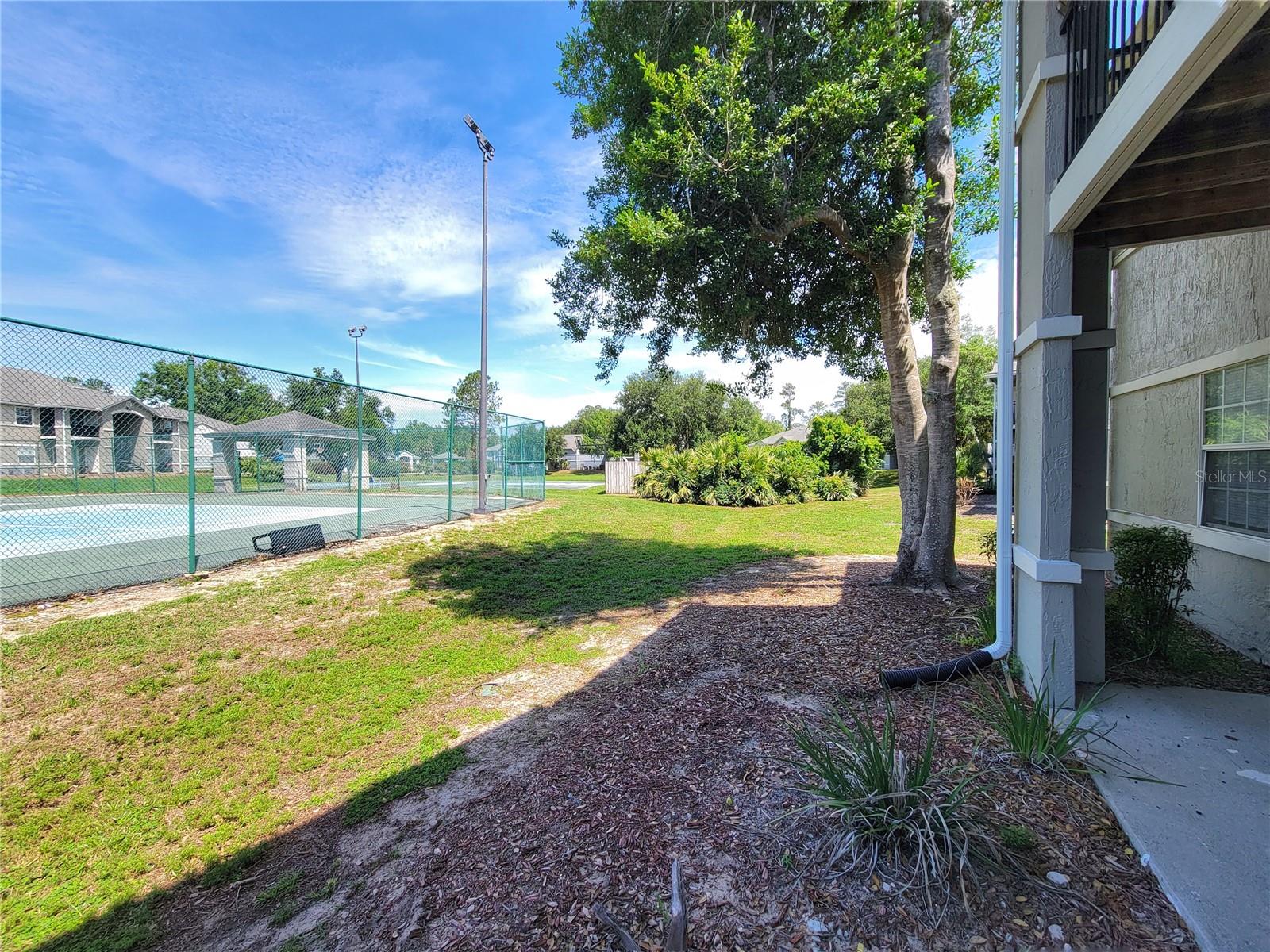 WINDSOR PARK AT GAINESVIL - Residential