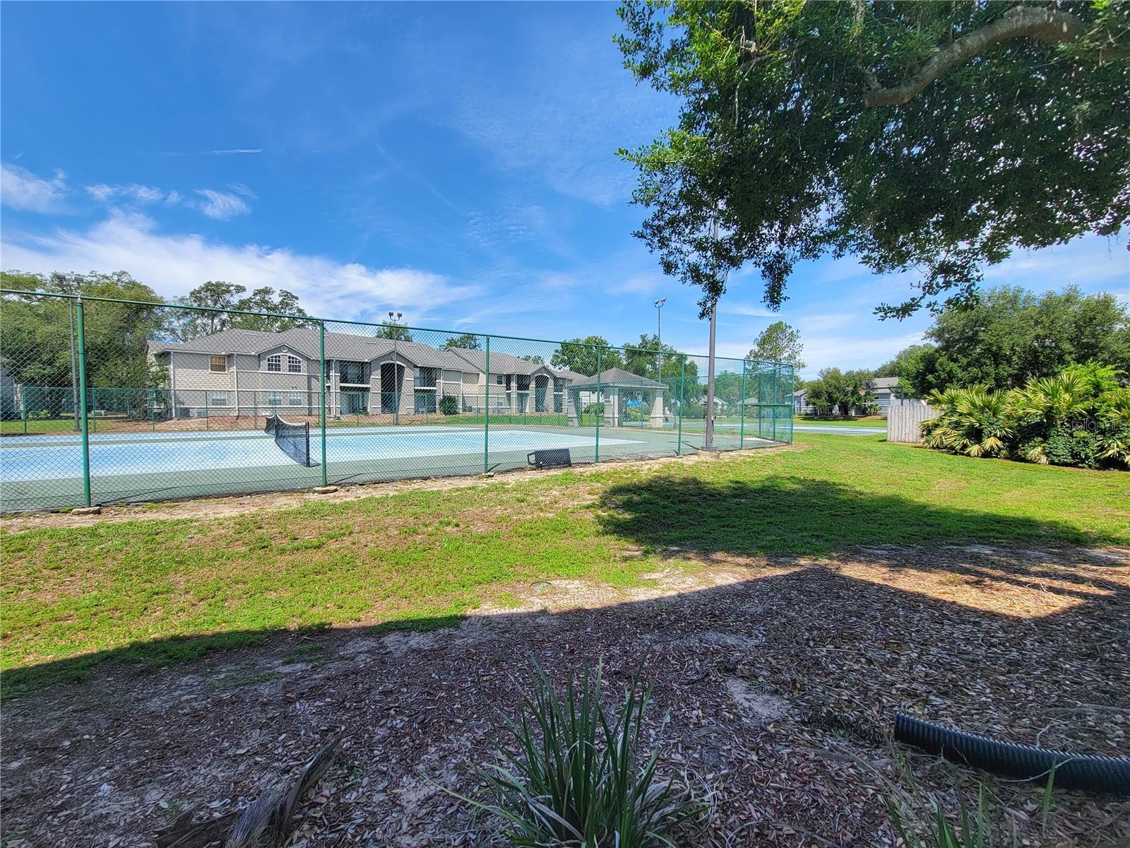 WINDSOR PARK AT GAINESVIL - Residential
