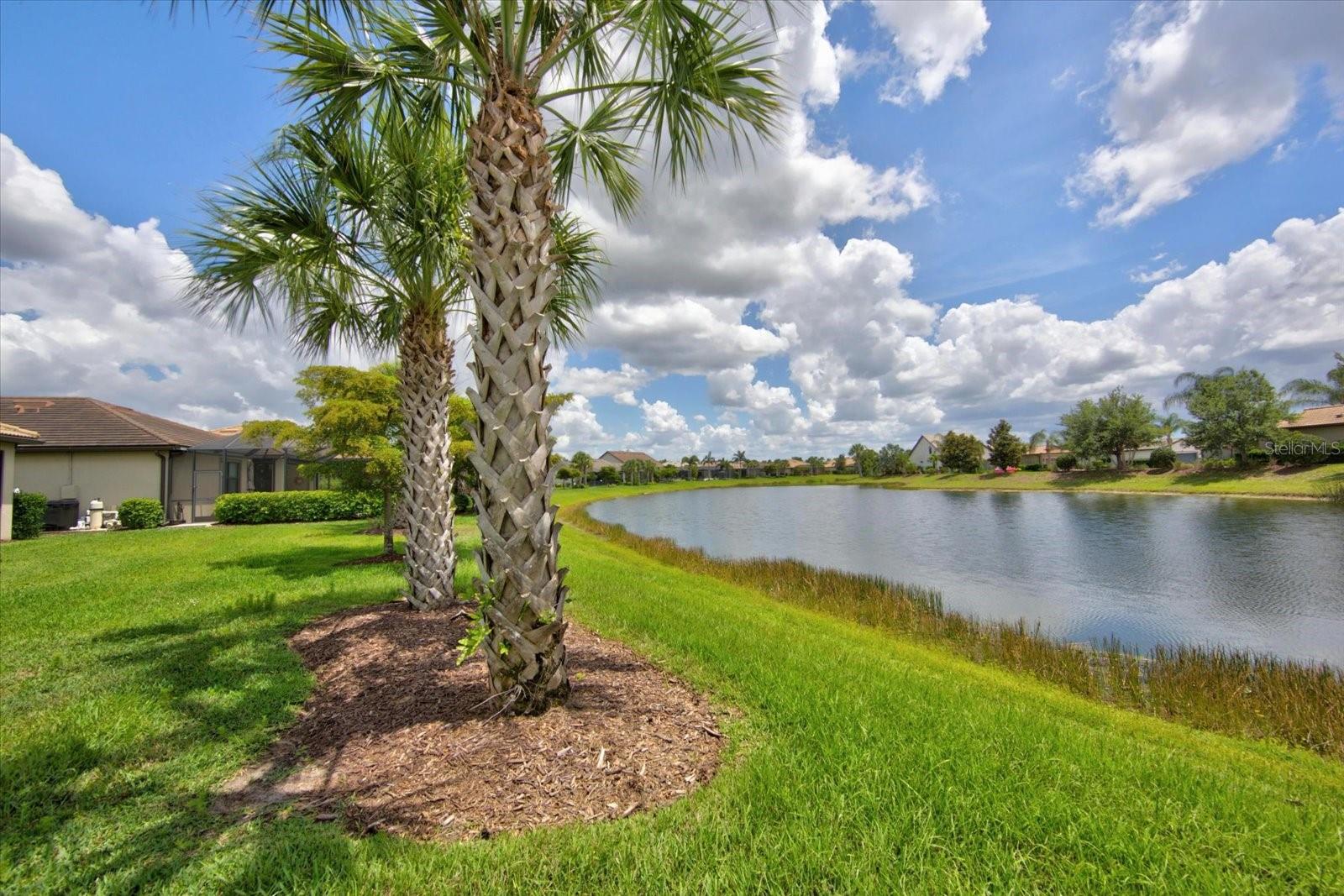 DEL WEBB PH I-B SUBPHASES D & F - Residential