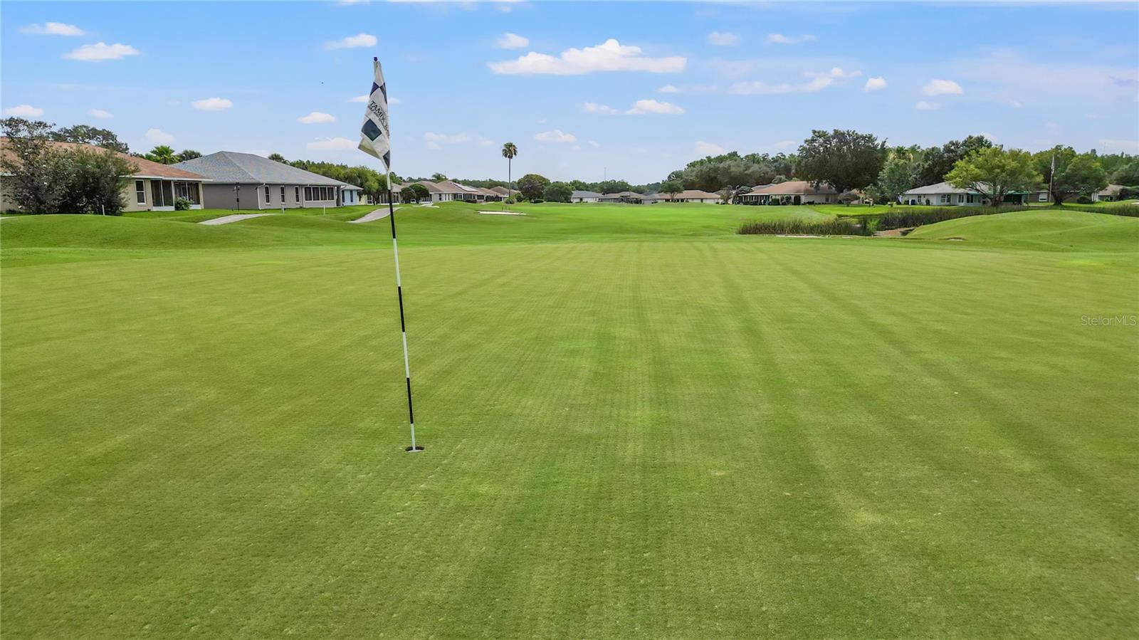 TAMPA BAY GOLF AND TENNIS CLUB - Residential