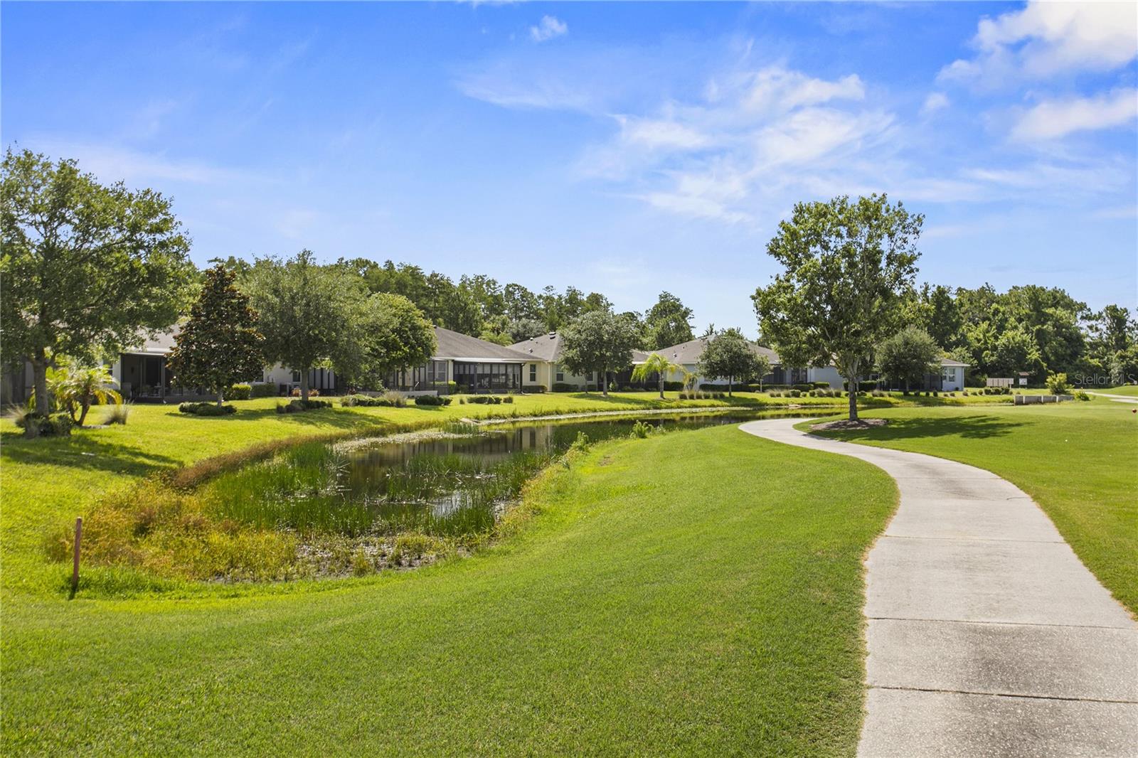 TAMPA BAY GOLF AND TENNIS CLUB - Residential