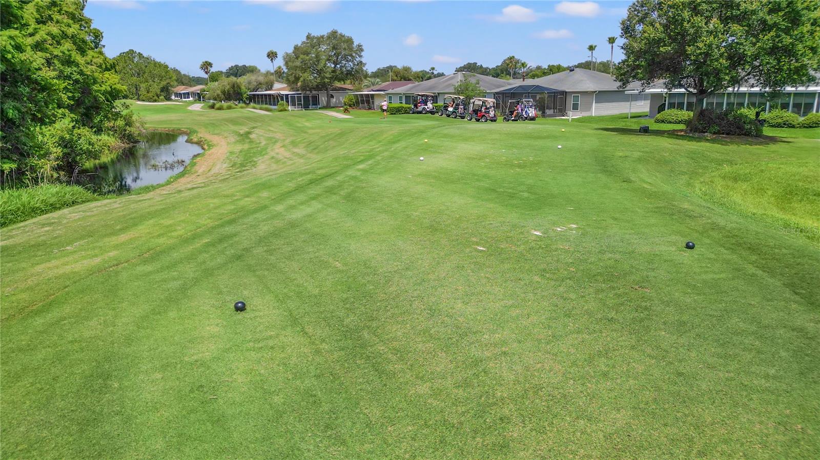 TAMPA BAY GOLF AND TENNIS CLUB - Residential