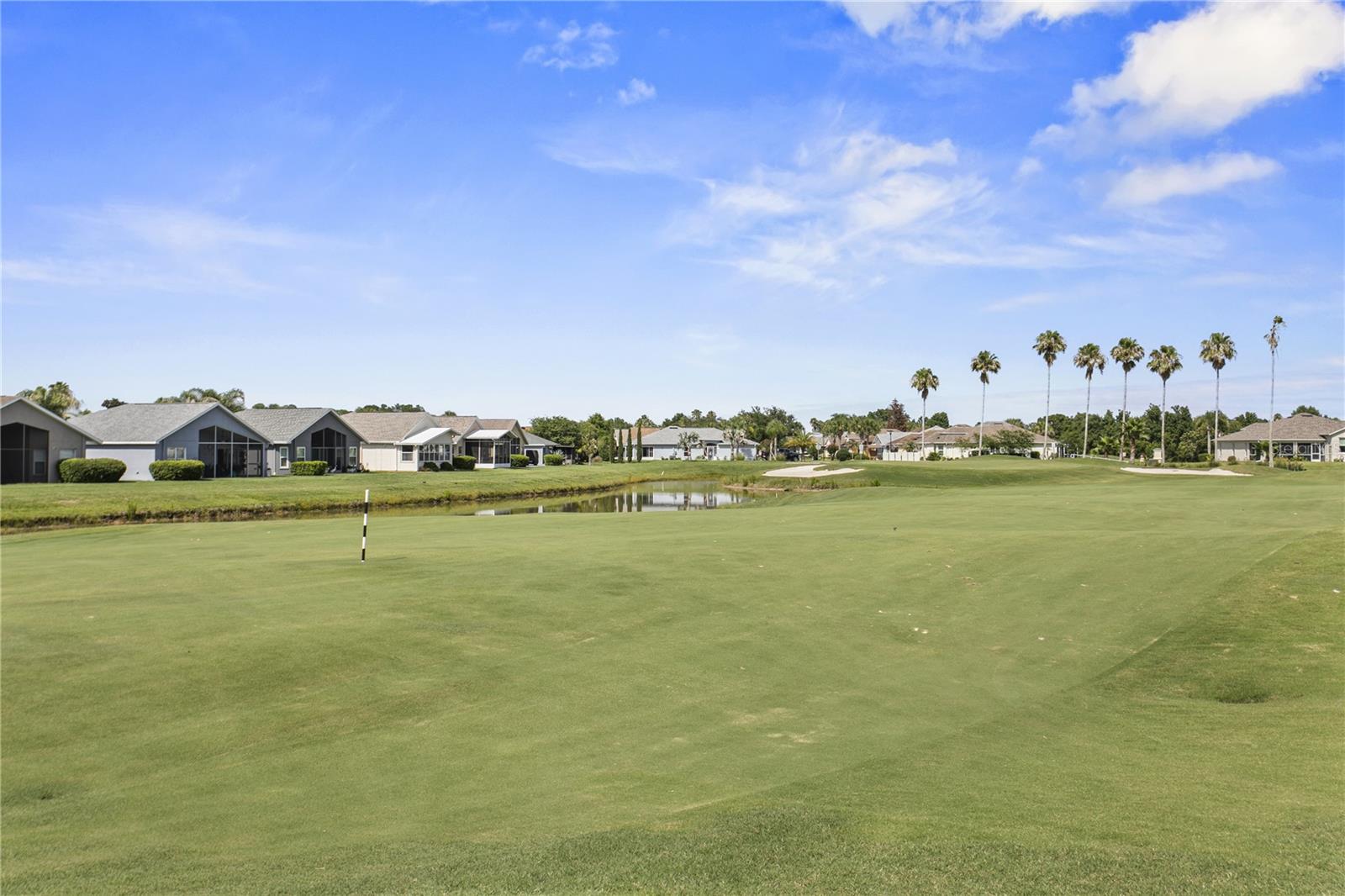 TAMPA BAY GOLF AND TENNIS CLUB - Residential