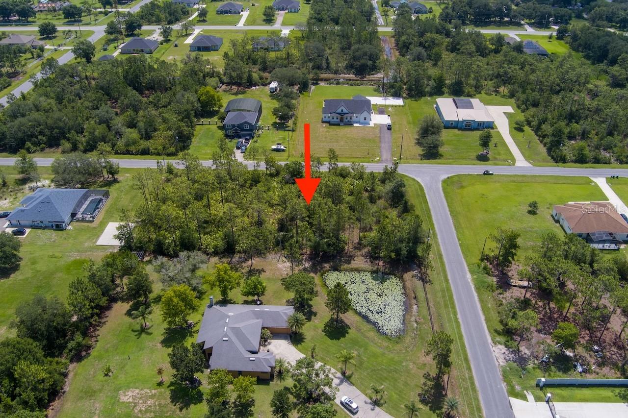 CAPE ORLANDO ESTATES - Land