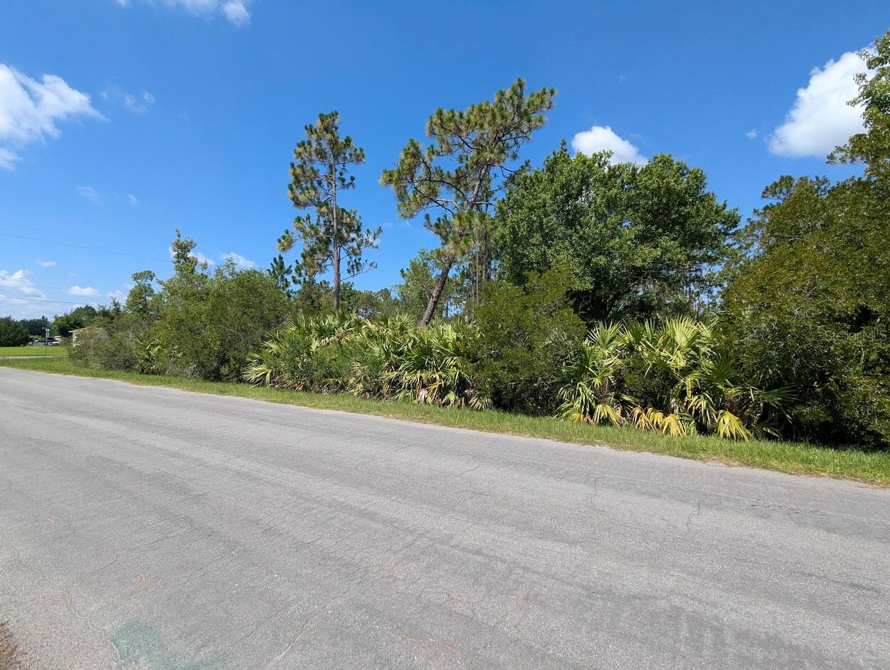 CAPE ORLANDO ESTATES - Land