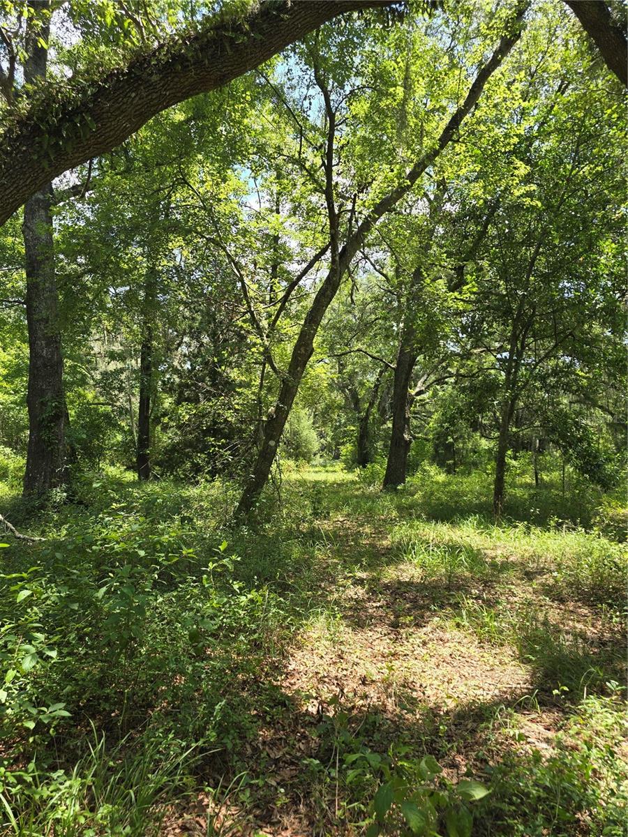 DENVER WOODS SUB - Land