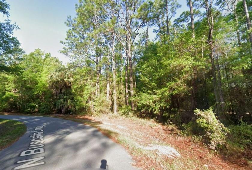 Great opportunity to own a nice piece of land in Crystal River, Florida located at 8754 N Buscetta Loop. This property is zoned Rural Residential, giving you flexibility while still maintaining a peaceful, low-density setting.

Even better — this lot has NO HOA and is located in flood zone X- NO FLOOD ZONE, making it easier and more affordable to build.

Buyer is tp pay all closing costs and title fees using sellers title company.