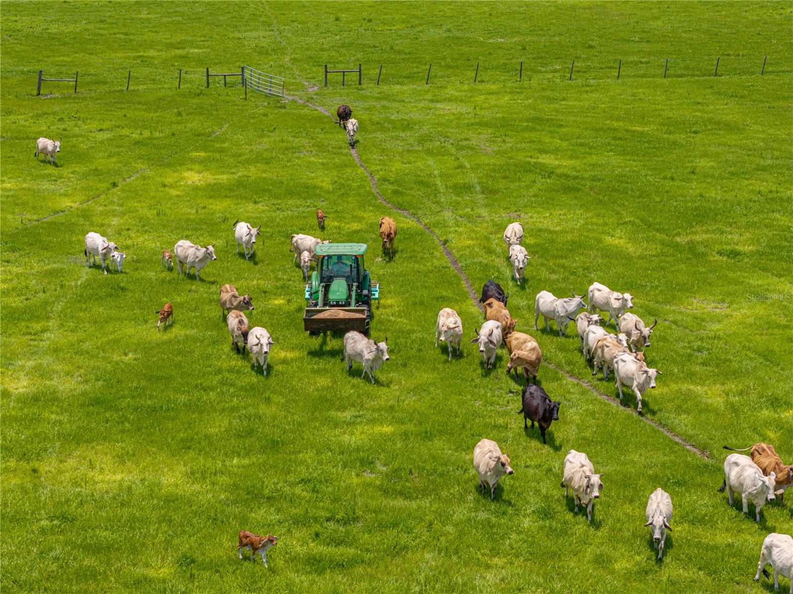 HARDEE COUNTY - Farm