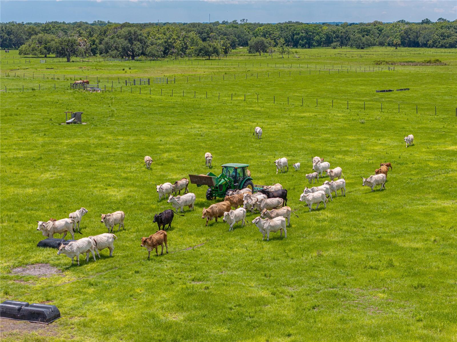 HARDEE COUNTY - Farm