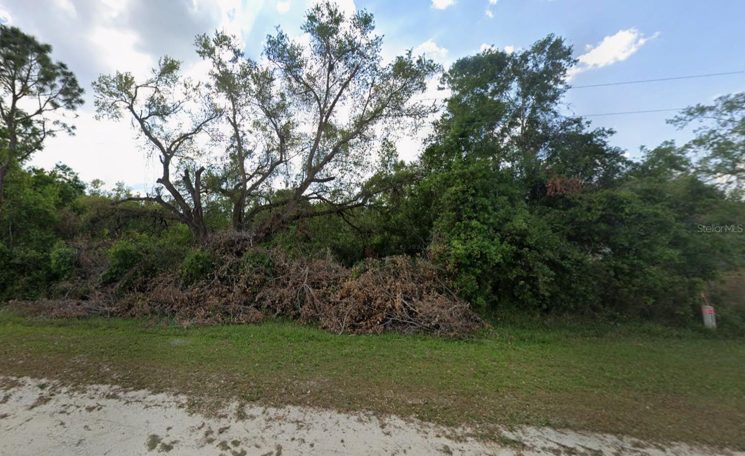 ORANGE BLOSSOM RANCHES - Land