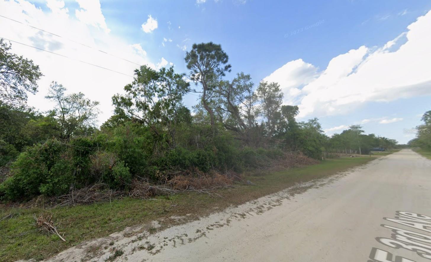 ORANGE BLOSSOM RANCHES - Land