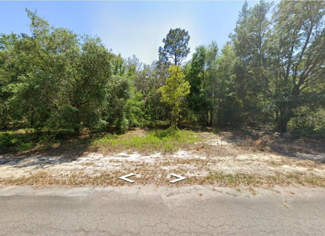 SILVER SPRINGS SHORES EAST - Land