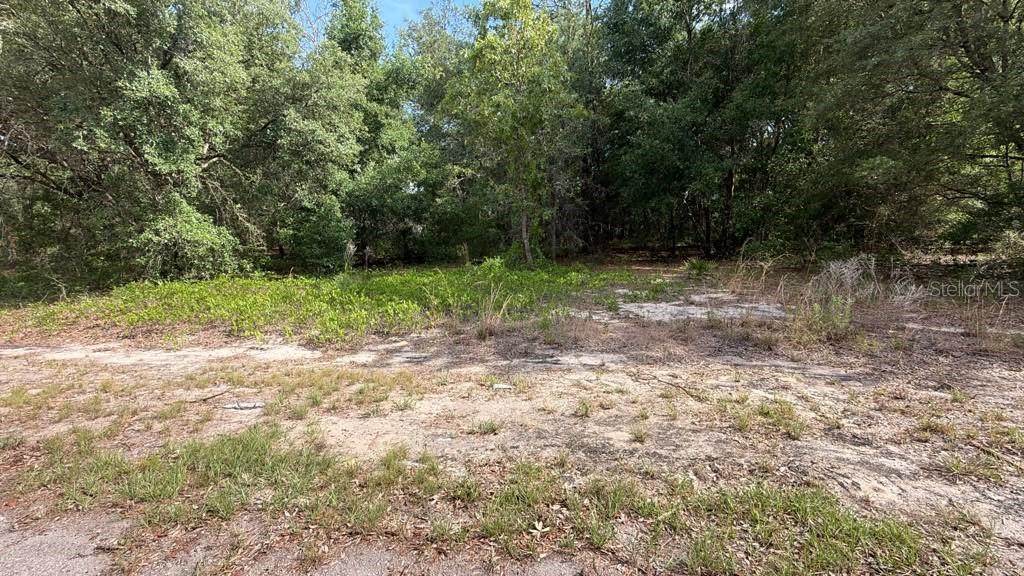 SILVER SPRINGS SHORES EAST - Land