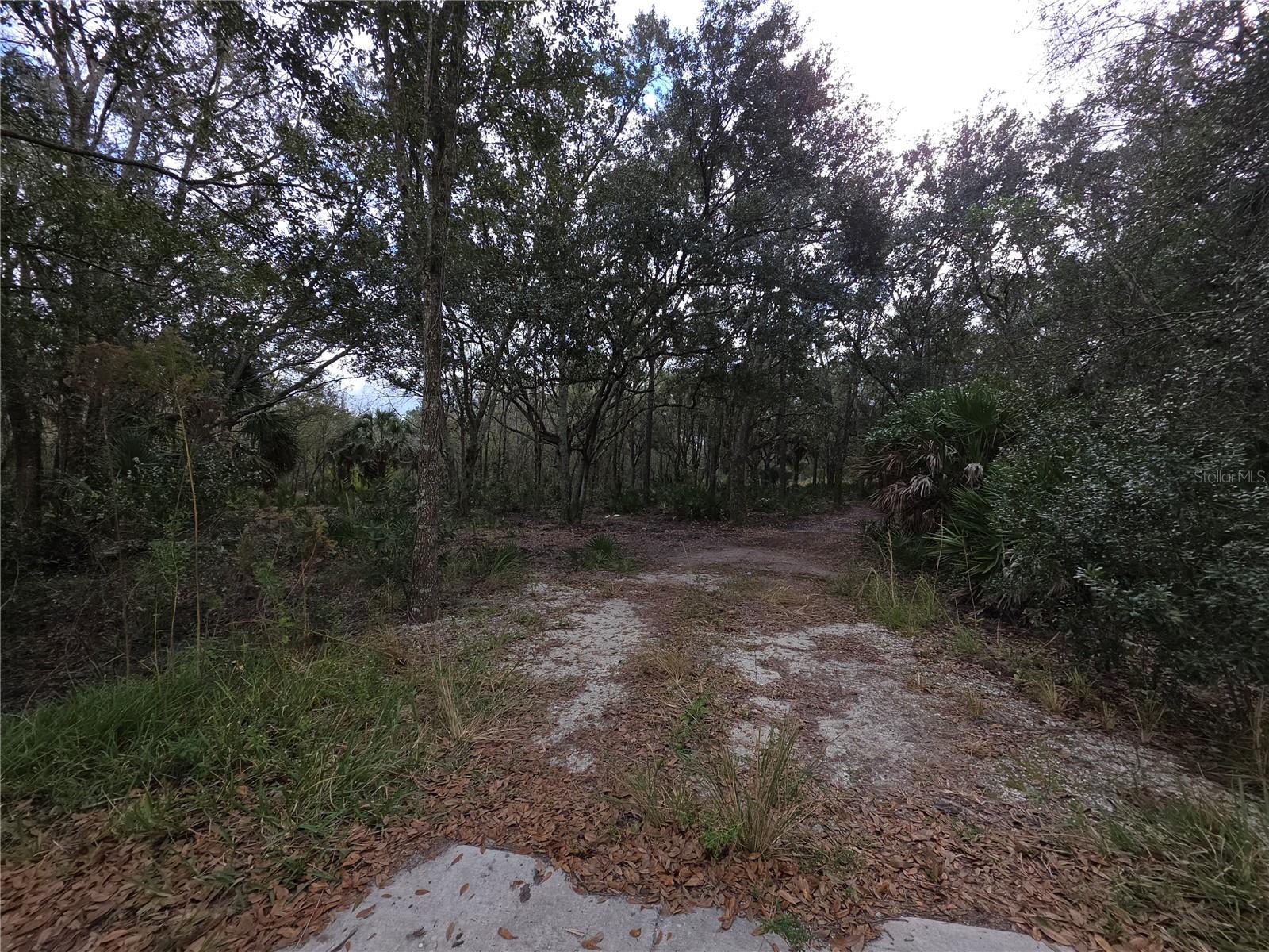 LAKE HAVEN ACRES - Land
