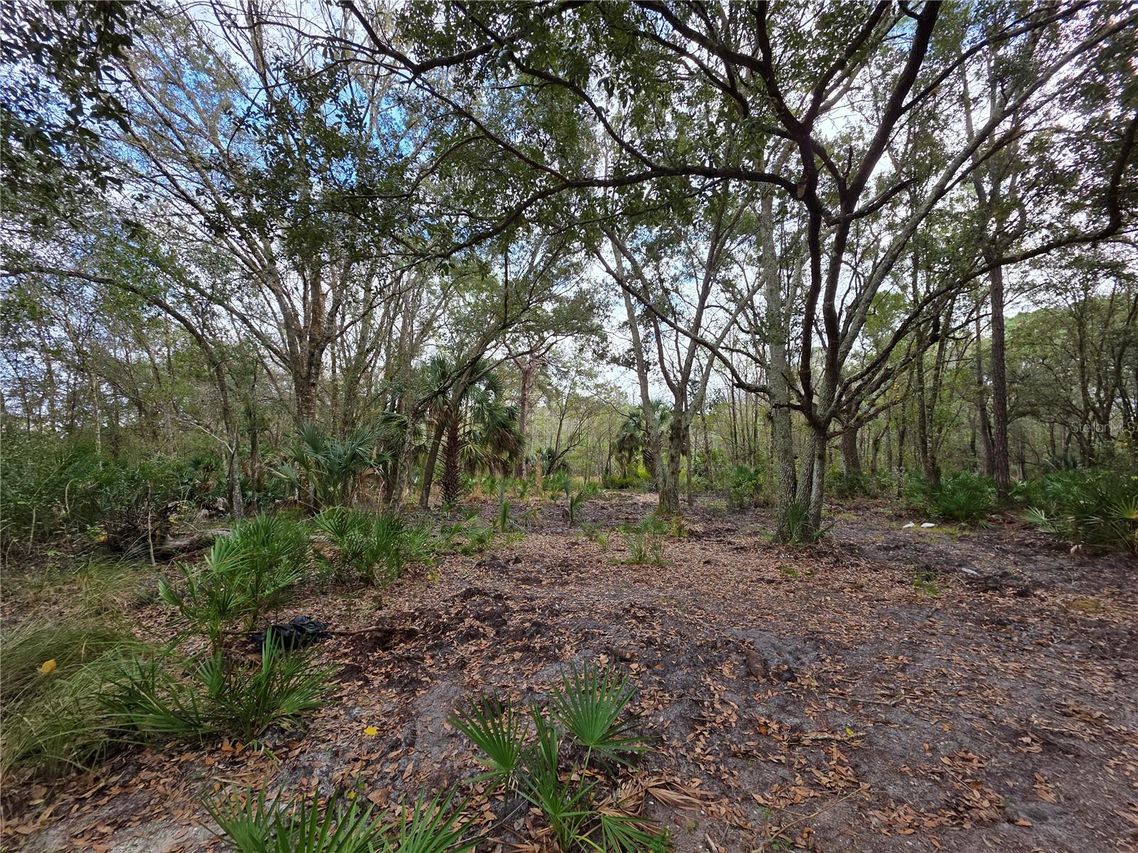 LAKE HAVEN ACRES - Land