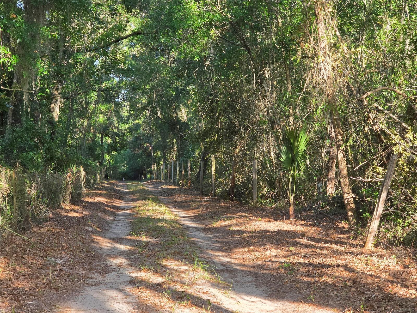 NOT IN SUBDIVISION - Residential