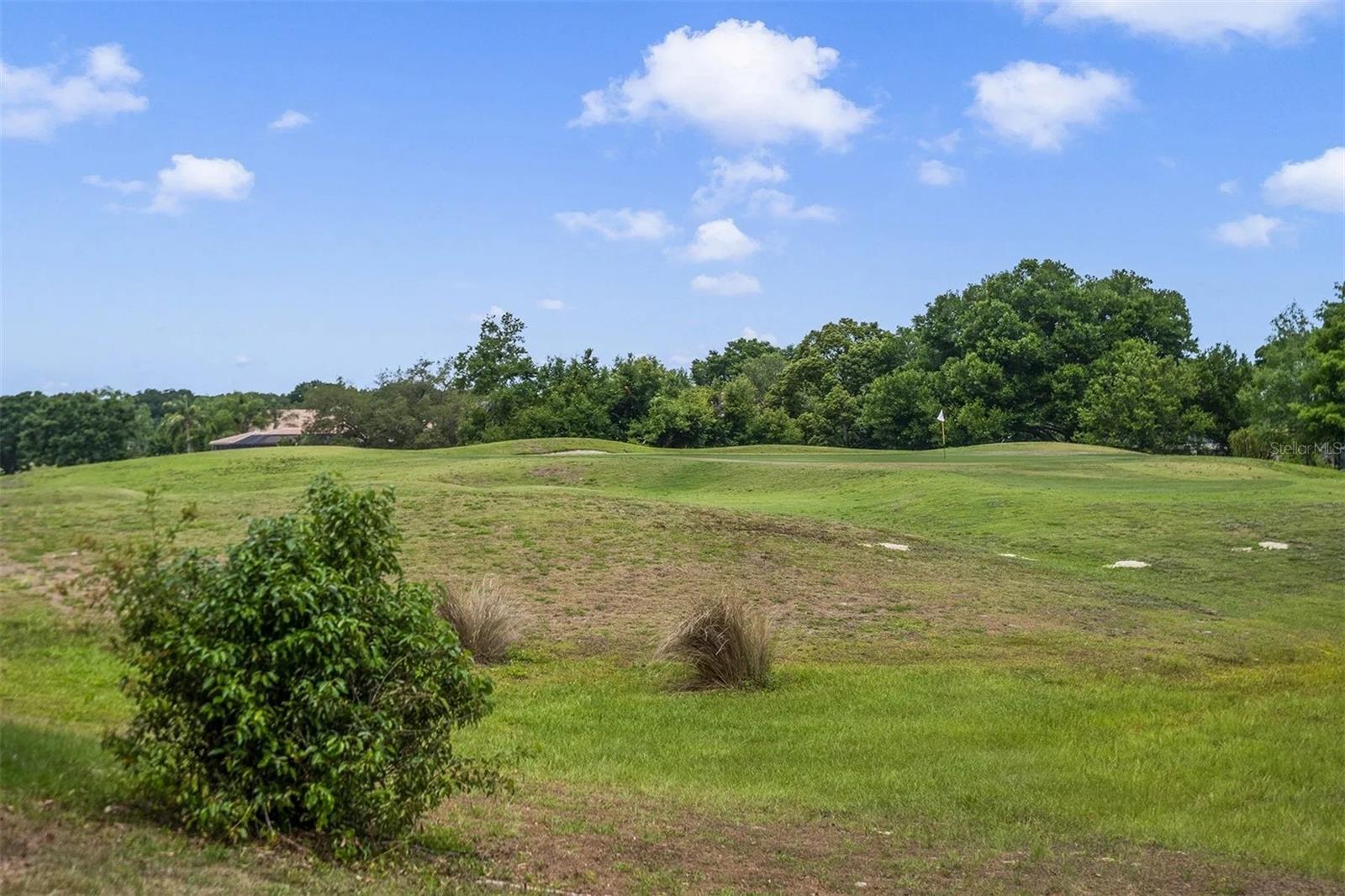 HEATHROW COUNTRY ESTATE - Residential