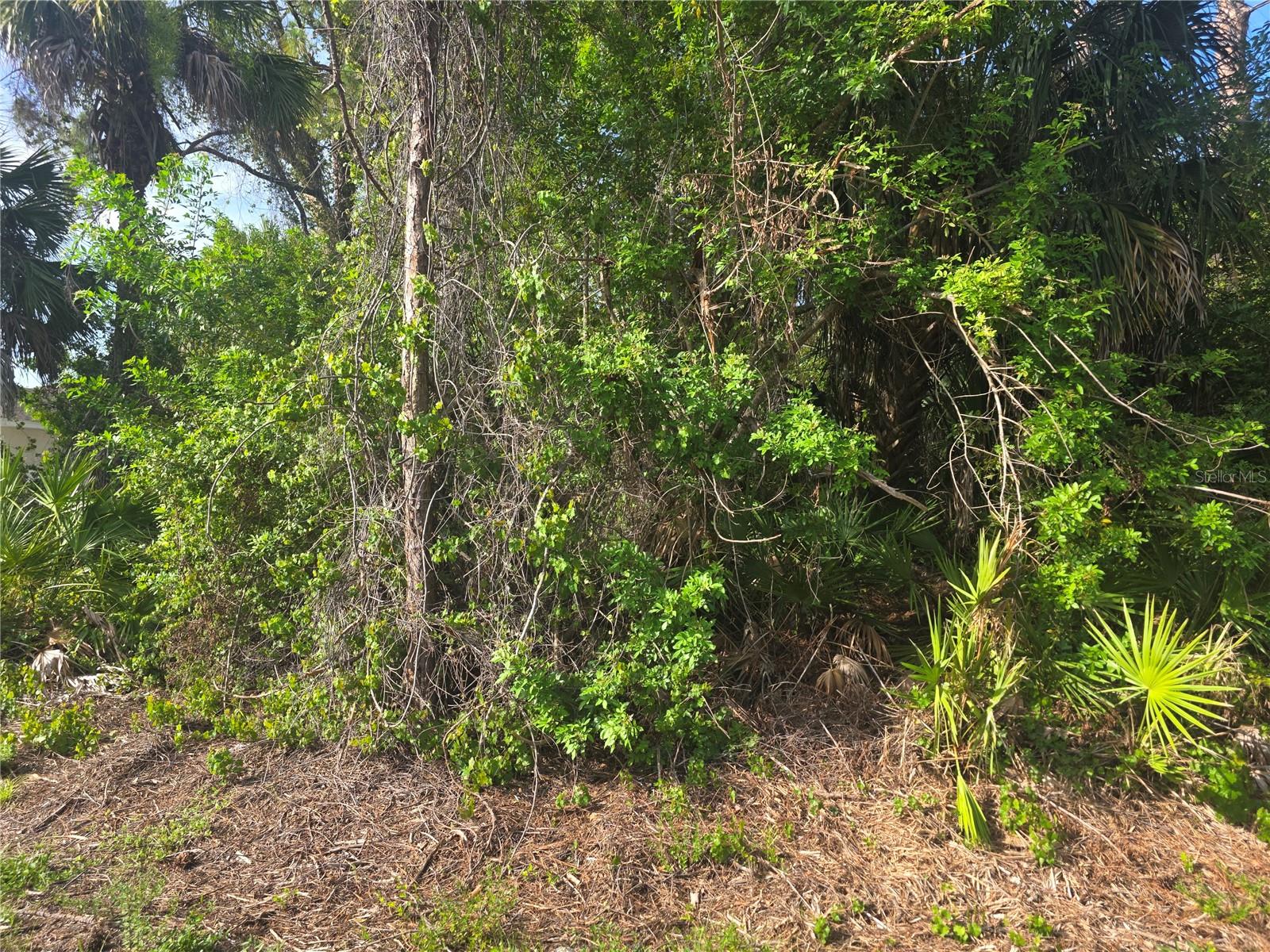 PORT CHARLOTTE SUB 06 - Land