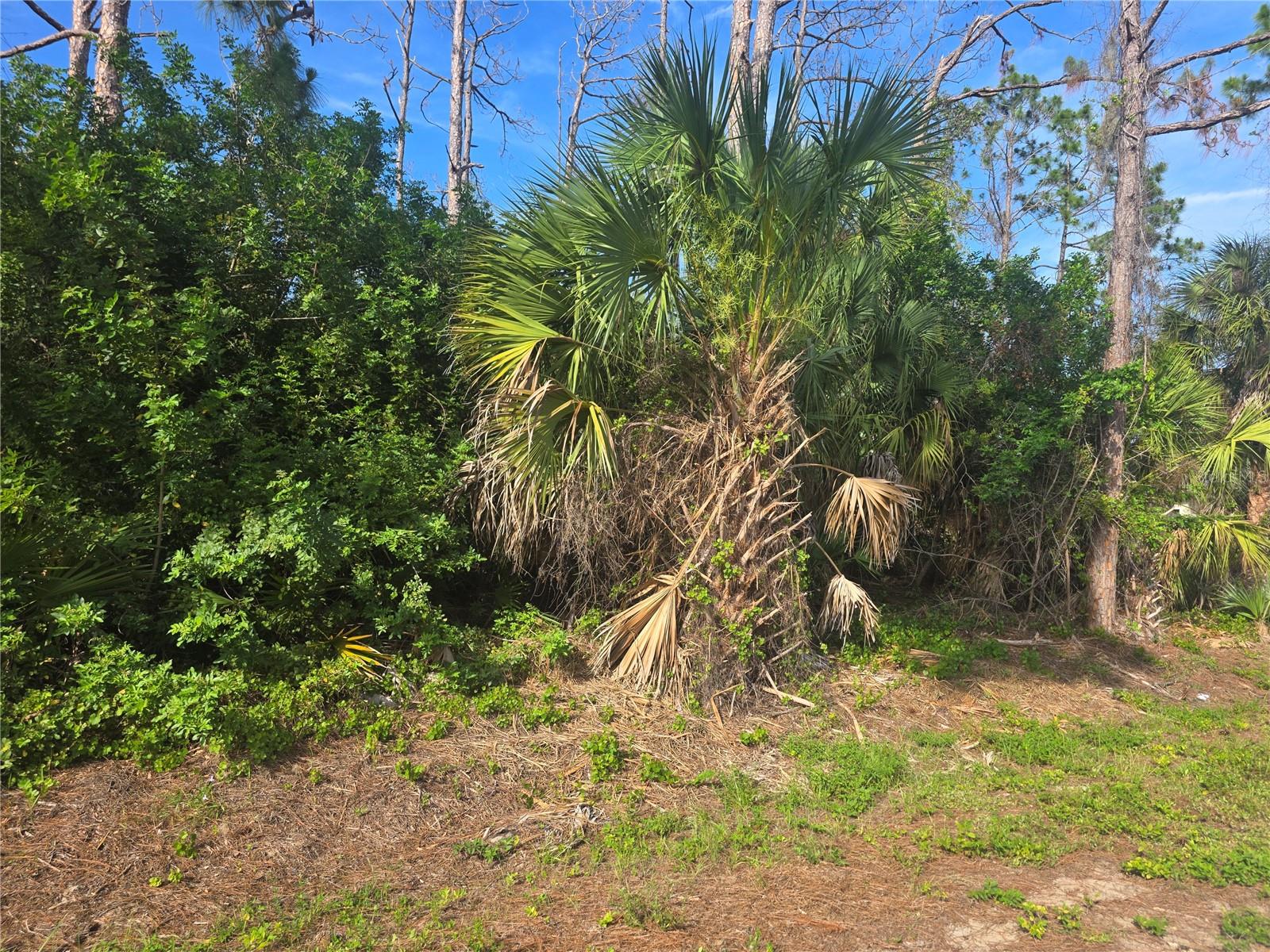 PORT CHARLOTTE SUB 06 - Land