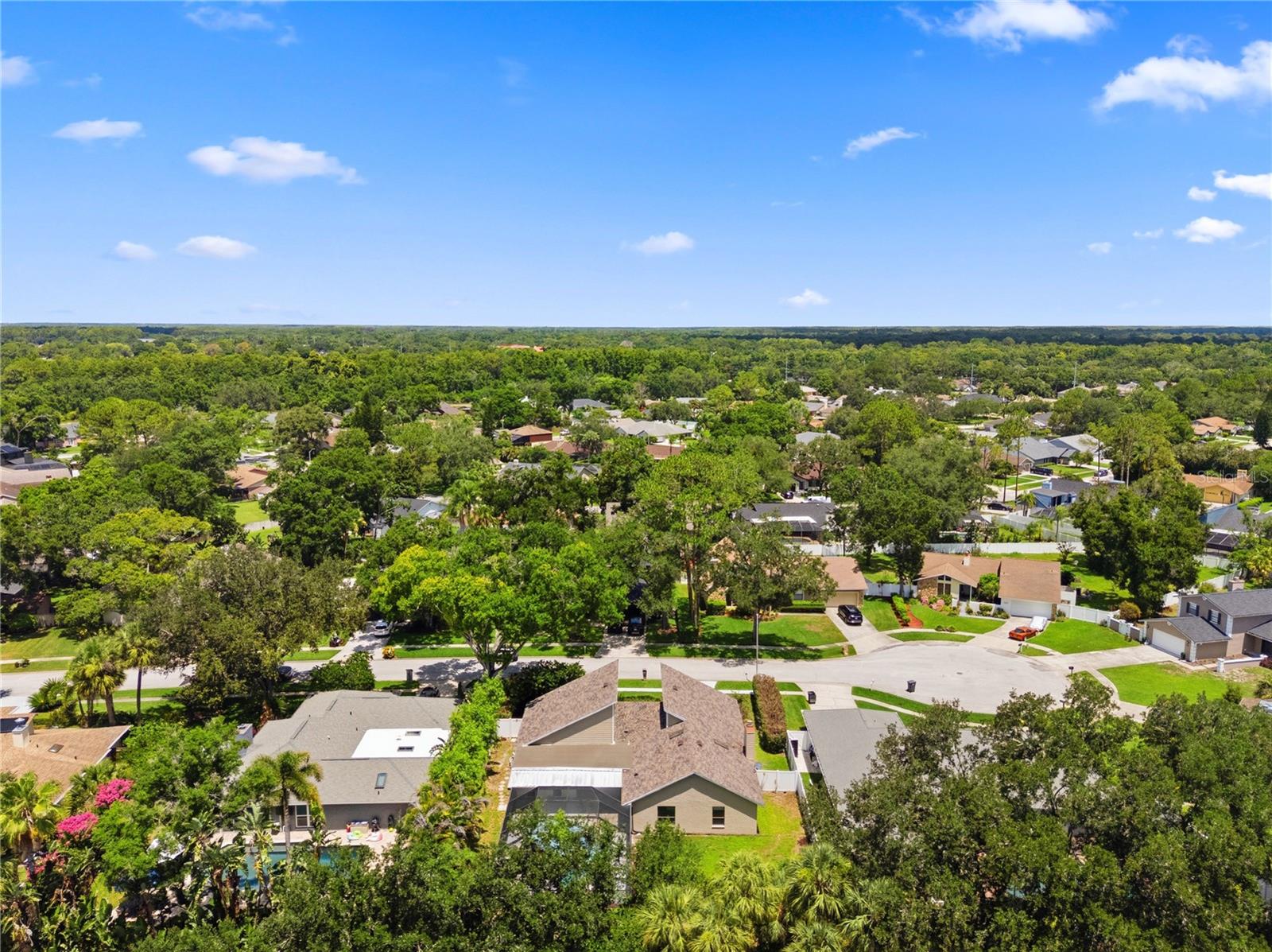 CARROLLWOOD VILLAGE - Residential