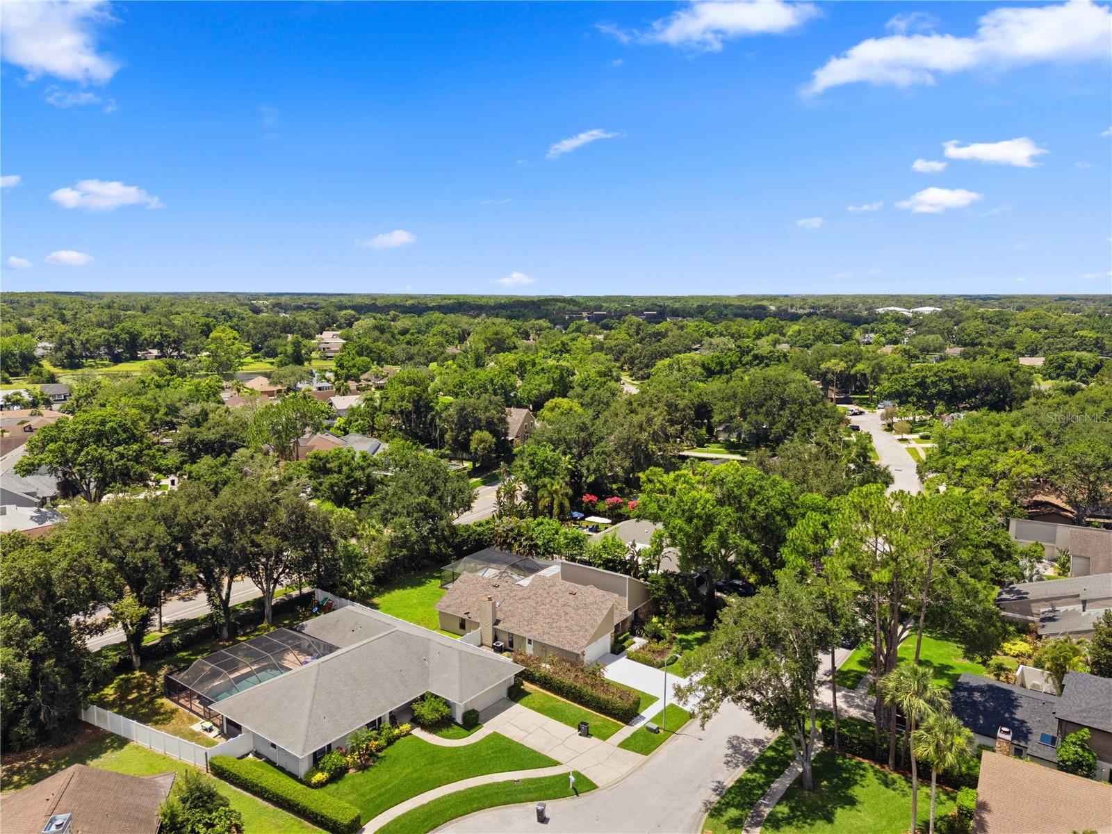 CARROLLWOOD VILLAGE - Residential