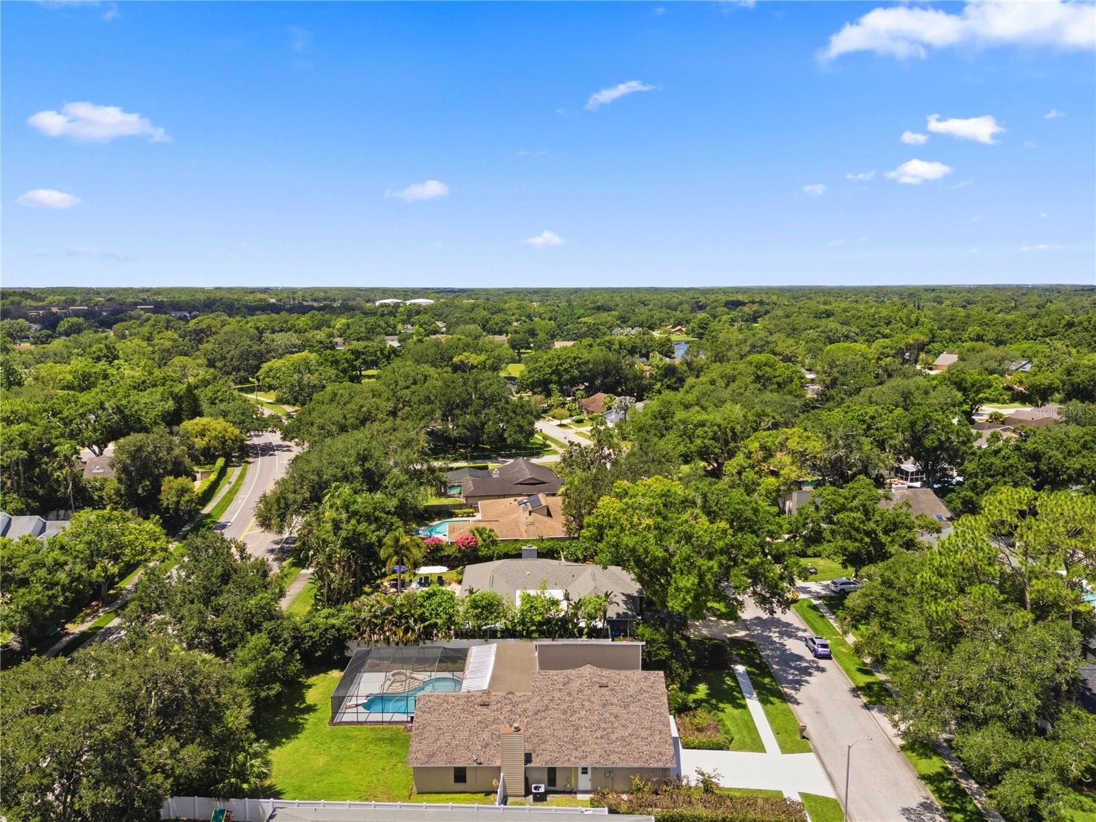 CARROLLWOOD VILLAGE - Residential