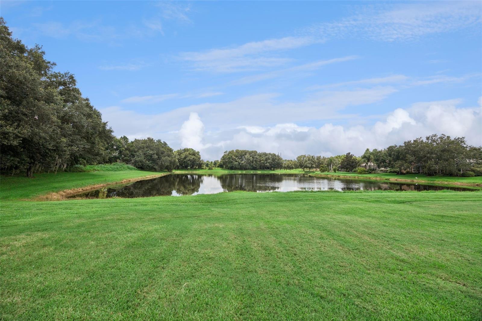 CHAPMAN LAKES - Residential