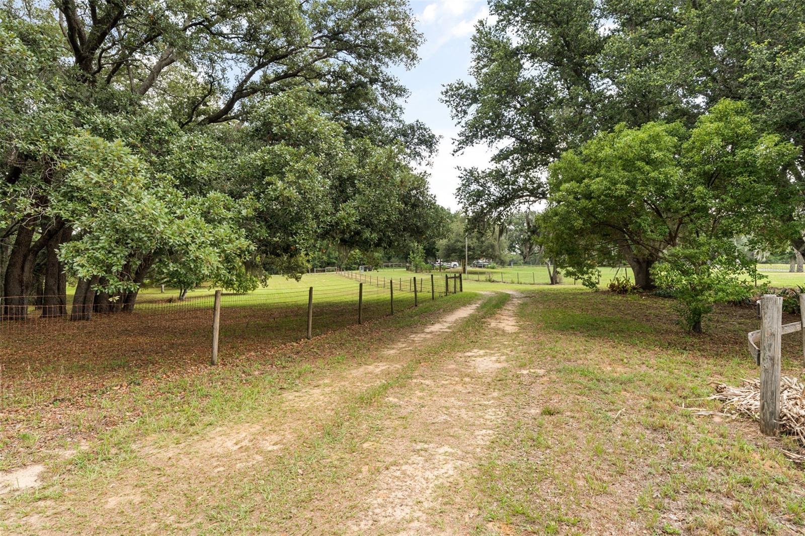 LAKE AVALON GROVES REP - Residential