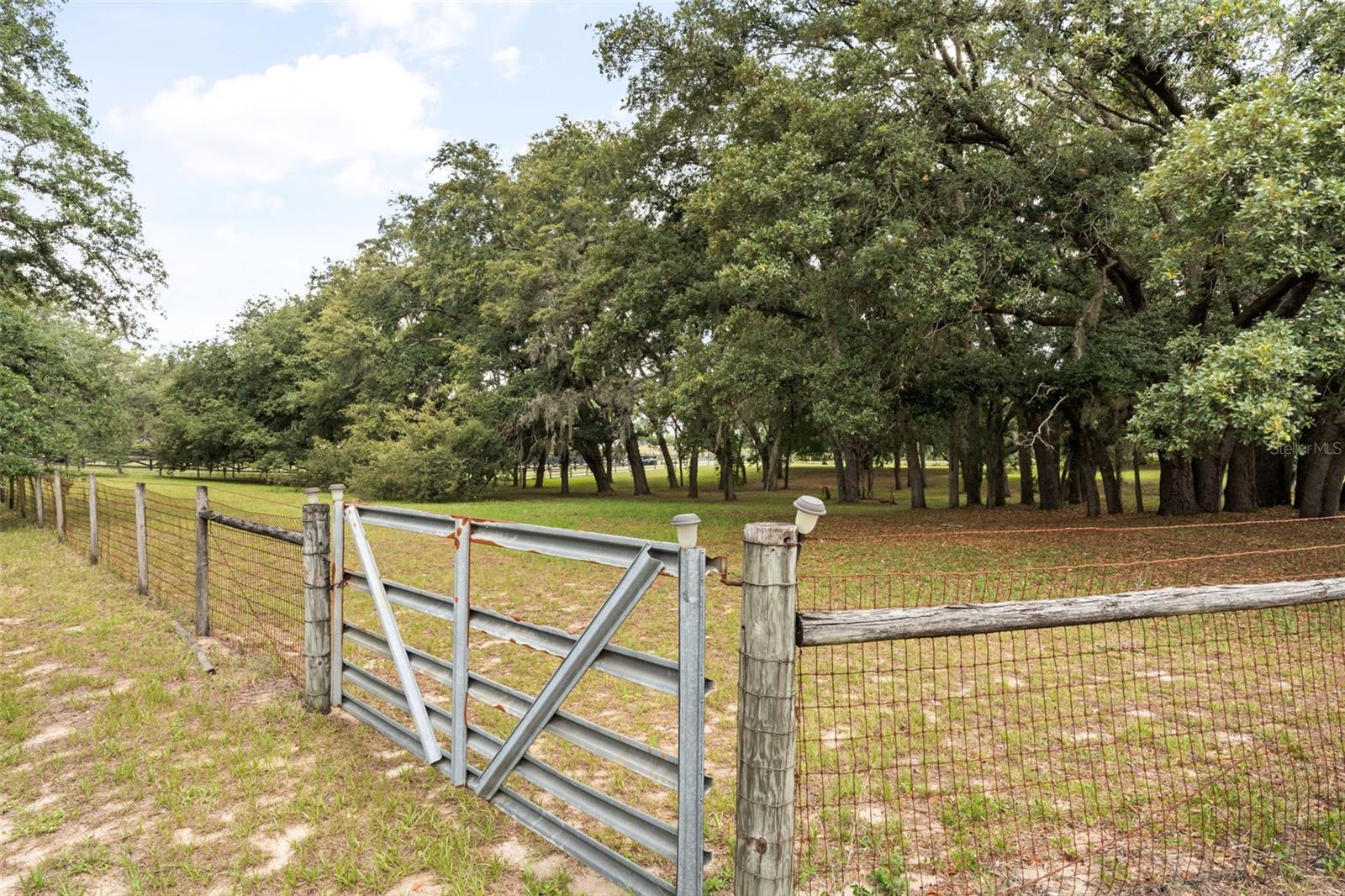 LAKE AVALON GROVES REP - Residential